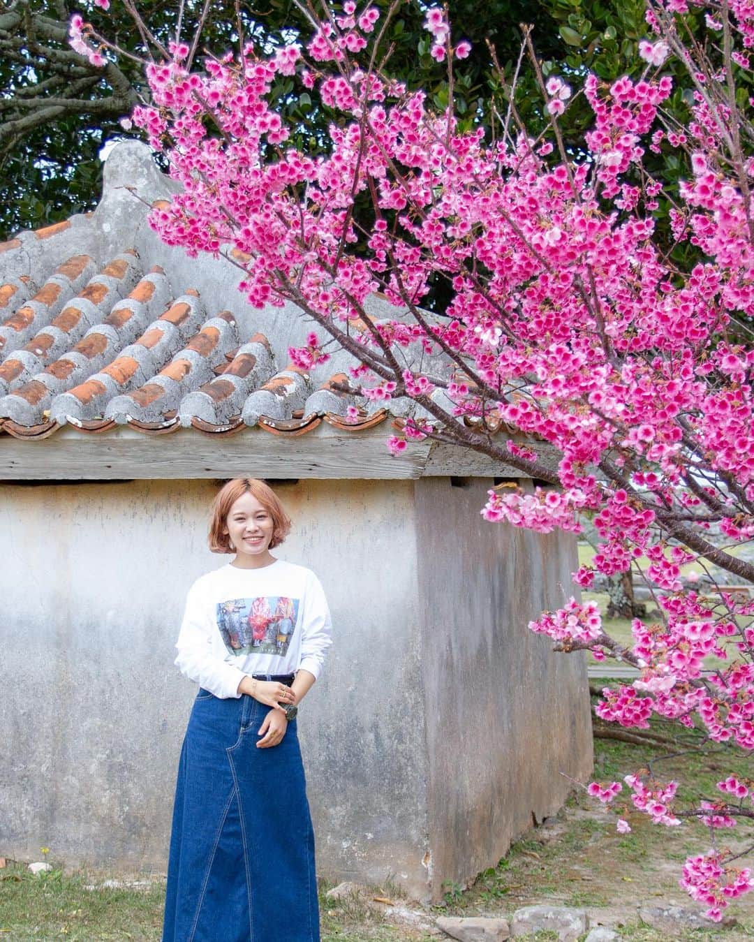 MAIKO さんのインスタグラム写真 - (MAIKO Instagram)「桜の下でお酒飲んだりしてさ、美味しいおつまみも用意して乾杯🍶✨ 沖縄でもお花見の文化作りたい〜🍡🌸 ︴ #花より団子 #沖縄 #ピンクが濃い〜 📸 @tsuru.to.photo」2月12日 15時47分 - maiko_oops