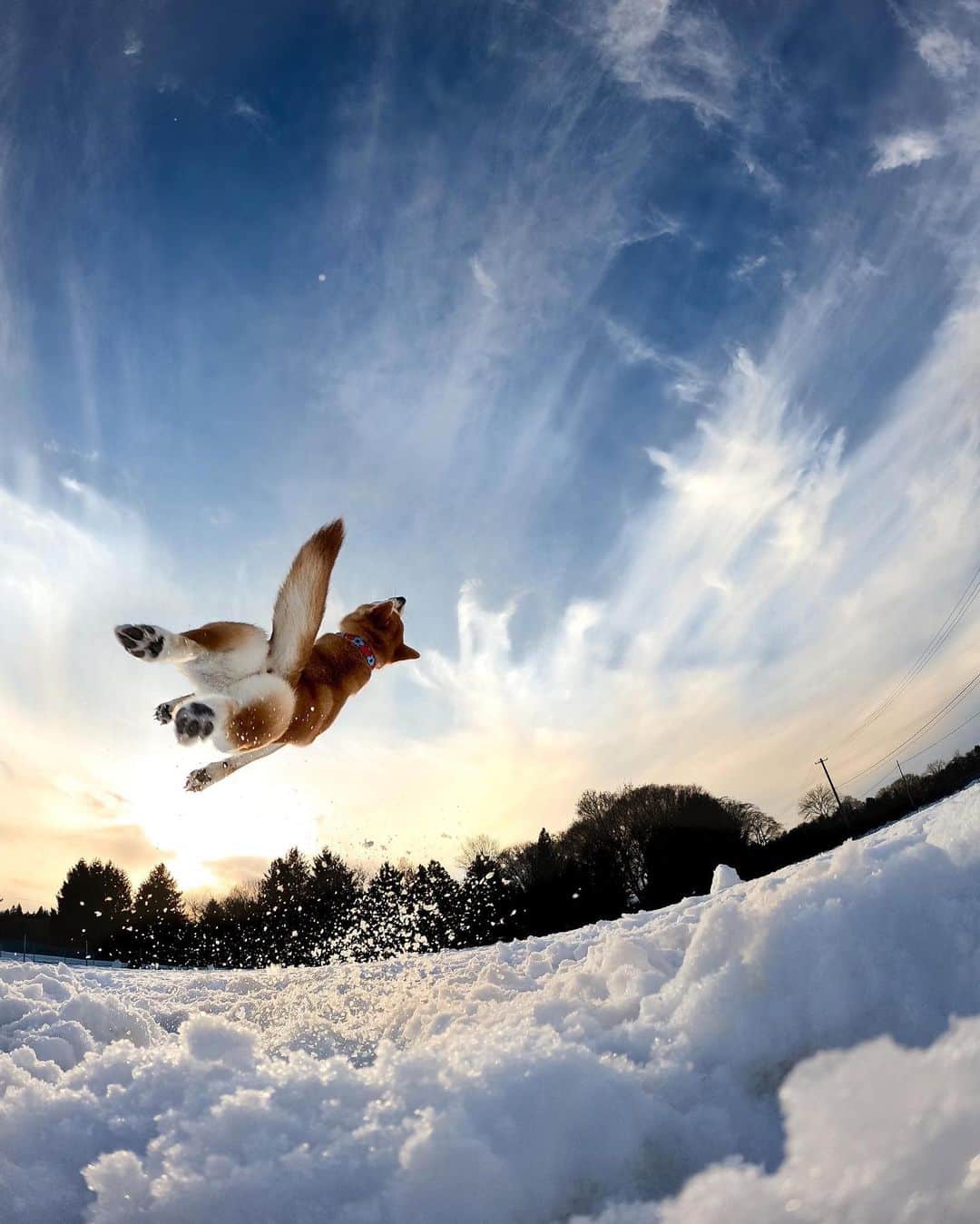 GoProのインスタグラム