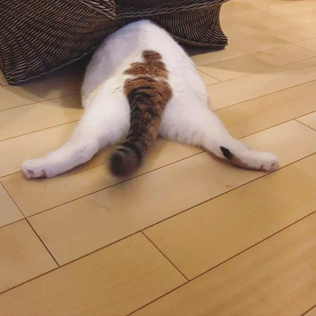 ありす & まりあのインスタグラム：「Happy Friday ✨ すてきな週末になりますように！」