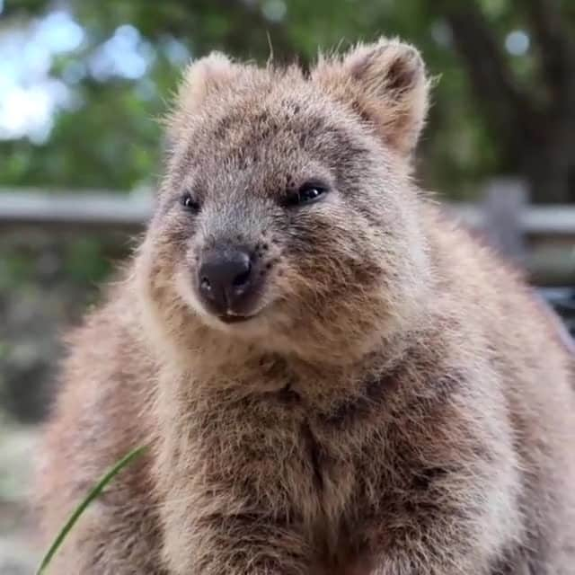 Australiaのインスタグラム