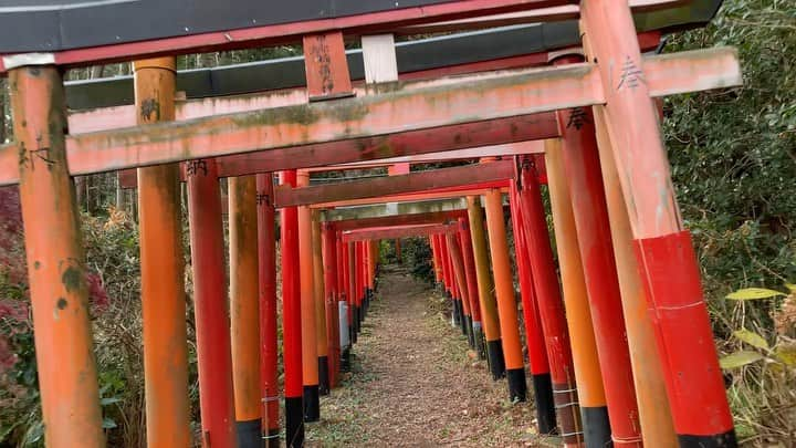 DAISHI DANCEのインスタグラム：「THE NINJAジャケット撮影地⛩  #伏見白赤稲荷社 #横須賀 #鳥居 #TORii @torii_official.jpn  #POWERSPOT #パワースポット」