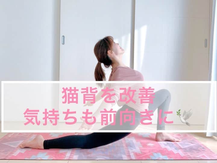 上坂由莉のインスタグラム：「.  New Moon 🌚﻿ 新月ですね✨最近は朝メイクをしながら﻿ clubhouseを聴いております👂﻿ 今朝は新月の題名がついてたルームで﻿ 色々素敵なお話を聞かせてもらってました🥰﻿ ﻿ ﻿ やはり皆さん新たな事に挑戦したり﻿ 今日成し遂げたい事、目標を描いてる方が多い🕊﻿ 私も新月の日は新月ノートに想いを描いてます💓✨﻿ ﻿ ﻿ そんな目標に向かって自信をつけていける﻿ 胸をオープンに心を広げていくポーズ🕊﻿ 【 ひばりのポーズ 】をご紹介⭐️﻿ ﻿ ﻿  効果✨﻿ ☑︎ 猫背改善﻿ ☑︎ 骨盤調整﻿ ☑︎ むくみの解消﻿ ☑︎ 呼吸が深まる﻿ ☑︎ リフレッシュ﻿ ☑︎ 気持ちを前向きに！ポジティブに！﻿ ﻿ 注意⚠️﻿ ☑︎ 曲げてる膝は踵よりでないこと﻿ ☑︎ 骨盤を立てる(腰を反りすぎない！)﻿ ☑︎ 頭を落としすぎない(首をつめない)﻿ ﻿ ﻿ 個人的にめちゃくちゃ好きなポーズです❤️﻿ 終わった後は凄く心身がスッキリして軽いです👼﻿ 是非やってみてください〜🕊﻿ 今夜の骨盤姿勢改善のオンラインレッスンでも﻿ このポーズやろうかなっ🤍﻿ ﻿ ﻿ #新月#水瓶座新月 #ひばりのポーズ #猫背解消 #自信﻿ #京都ヨガ #newmoon #yogainstructor #yogapose #openchest﻿」