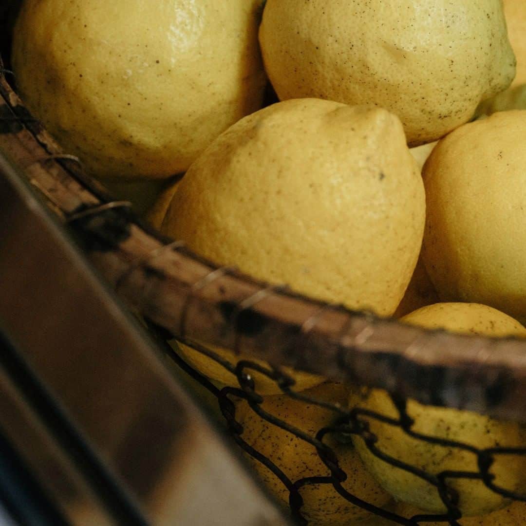 ヒラハルのグルメインスタ