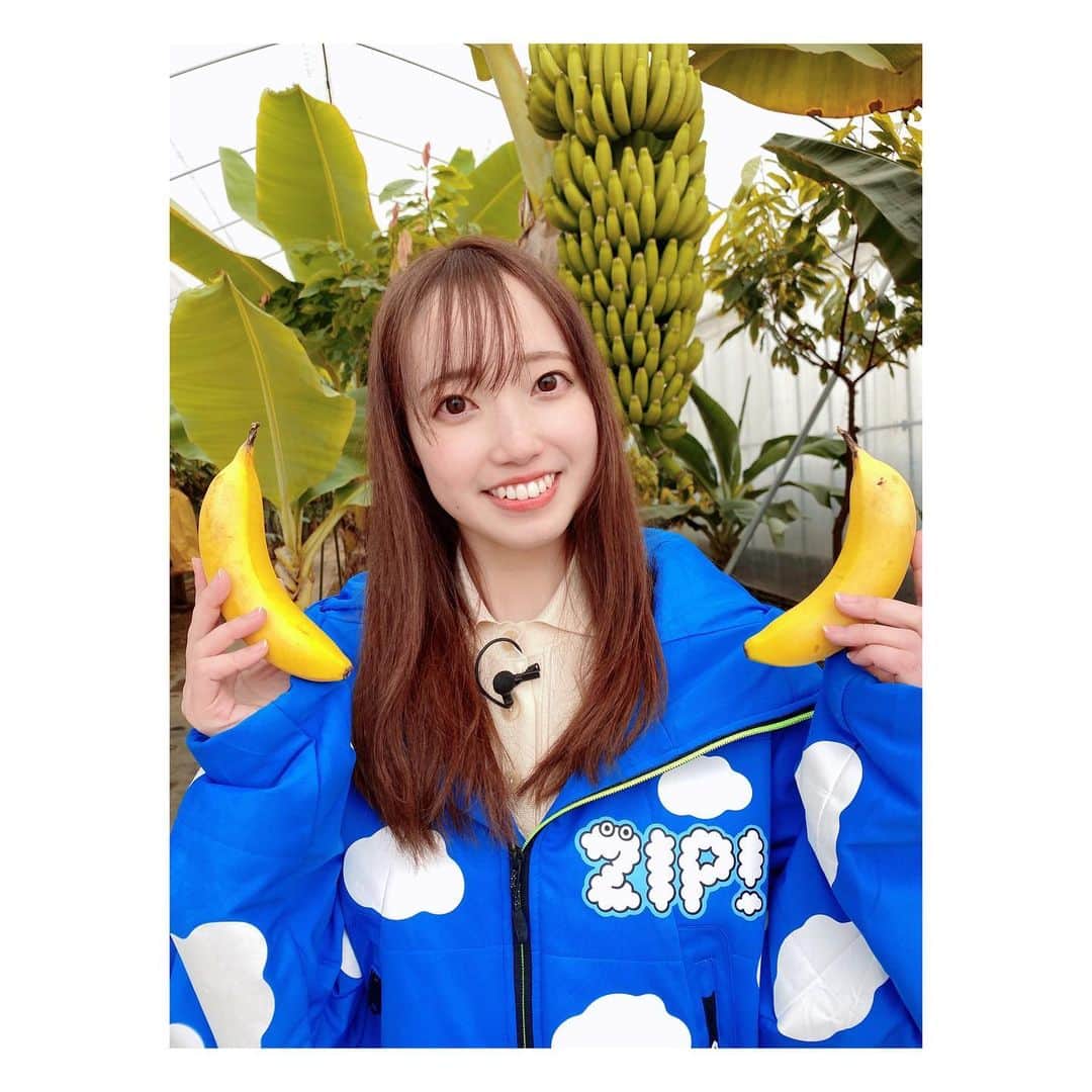 のインスタグラム：「今日は岡山からZIPのうまいもんジャーニーの中継☁️  岡山市のD＆Tファームさんと城下カフェさんに朝早くからご協力いただき、もんげーバナナをいただきました🍌  皮ごと食べられる栄養豊富で美味しいバナナの魅力を限られた時間の中ではありますが、もっとお伝えできたらよかった…💦と反省点はありますが皆さんのおかげで楽しくできました🙇‍♀️ パンケーキは外にも中にもバナナたっぷりでしっとり美味しかったです🥞  ZIPに出られたことも、とっても嬉しかったですし、何より岡山香川の方が楽しみだよ〜って言ってくださったのもエリアの温かみを感じました🥰本当にありがとうございます✨  マーティンさんが召し上がっていたジャムは岡山駅のさんすて岡山でも売っているそうなので気になる方は是非💡  今日も1日お疲れ様でした💐🧸  #岡山#もんげーバナナ」