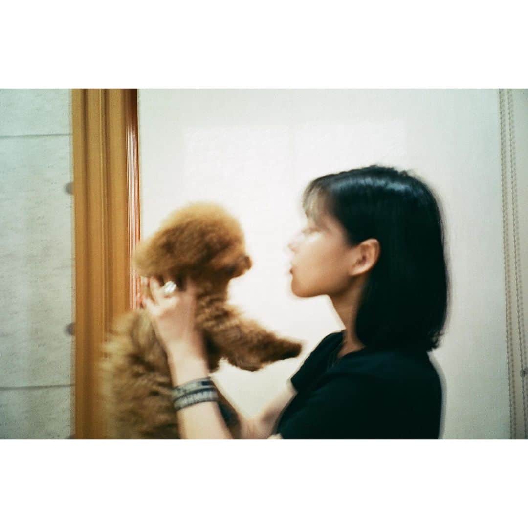 石井杏奈さんのインスタグラム写真 - (石井杏奈Instagram)「愛犬　56(ゴロウ) #film」2月12日 19時56分 - anna_ishii_official