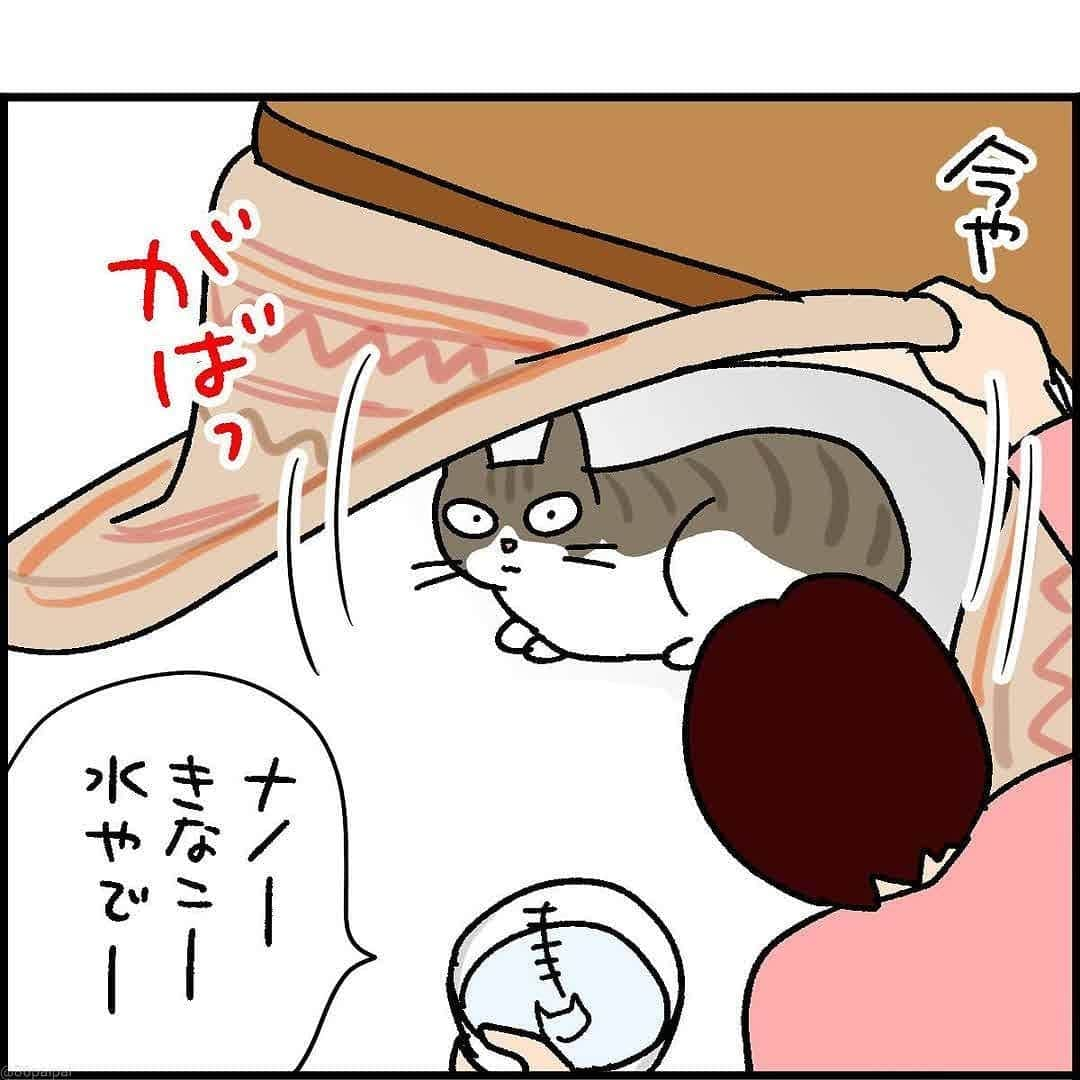 猫壱（ねこいち•ネコイチ）さんのインスタグラム写真 - (猫壱（ねこいち•ネコイチ）Instagram)「【#猫マンガ 】 ▫ お水デリバリーになれてきたのかな😁 ▫ ▫ #猫あるある #冬の脱水対策は大切 ▫ ▫ :::::::::#猫壱 ::::::: 猫壱は猫と人との暮らしの向上を目指して猫グッズの開発に取り組んでいます♪ きなこちゃんが使っている商品は#ハッピーダイニング　#脚付きウォーターボウル　猫柄　でした✨ ▫ 気になる方は @necoichicojp をチェックしてみてくださいね！ ▫ ▫ 【Special thank-you @86palpal 💕💕💕💕】」2月12日 20時07分 - necoichicojp