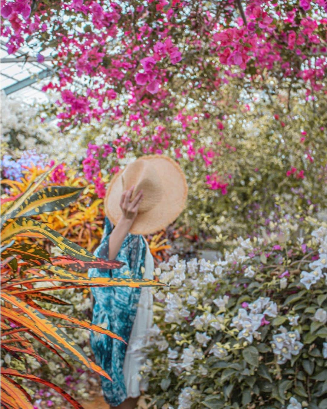 Stayway女子さんのインスタグラム写真 - (Stayway女子Instagram)「【📍 沖縄県・宮古島】﻿ ﻿ ——————————————————﻿ 日本では滅多に見ることができない、美しい熱帯花木を間近で楽しめる観光農園🌼﻿ ゆったりと流れる南国の時間を満喫してください♬﻿ ————————————————﻿ 素敵な女子旅をされている方をご紹介させていただきます！✨﻿ こちらの写真は @hi_marigeni さんがアプリへ投稿してくださいました😄魅力が伝わってくる素敵な投稿ありがとうございました🎵﻿ ﻿ #Stayway女子旅 というハッシュタグをつけて是非投稿してください♪﻿ Instagramにてご紹介させていただきます！﻿ ———————————————————﻿ AppStore又はGooglePlayで「stayway」を検索！トラベルクリエイターがリアルな口コミを情報発信！エリアでの絞り込みや位置情報でも投稿を探せます😌ステキなお出かけや旅の思い出を記録していきましょう🎵優先的にインスタでシェアさせていただきます！﻿ ———————————————————﻿ ﻿@yu_topia_farm  宮古島観光したなかで﻿ 雨の日の１番オススメスポット﻿ #ユートピアファーム宮古島　﻿ ﻿ フルーツ園フラワー園で﻿ SNS映え間違いなしで、なんと360円で入園できちゃう✨﻿ さらに美味しいフルーツジュースやアイスも食べれて大満足💛😋﻿ ﻿ こんな映え写真も沢山撮れるから﻿ 本当オススメ！﻿ 宮古島行った時は寄ってみて💓﻿ ﻿ ———————————————————﻿ #stayway_女子旅 #stayway_okinawa #沖縄県 #沖縄観光 #沖縄旅行 #宮古島 #宮古島市 #宮古島観光 #女子旅 #宮古島旅行 #国内旅行 #自然 #沖縄観光スポット #沖縄女子旅 #映え旅 #映えスポット #フルーツ園」2月12日 20時49分 - stayway_girls