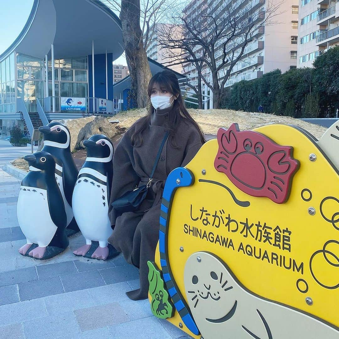 小澤楓のインスタグラム：「先日、初の品川水族館へ🐬🐟 . アザラシ？とかも飛べるんだね🦭 水族館とか久しぶりに行ったのでたたただテンション爆上げでした🐋🦈 . . #品川水族館 #イルカ #おしゃれさんと繋がりたい」