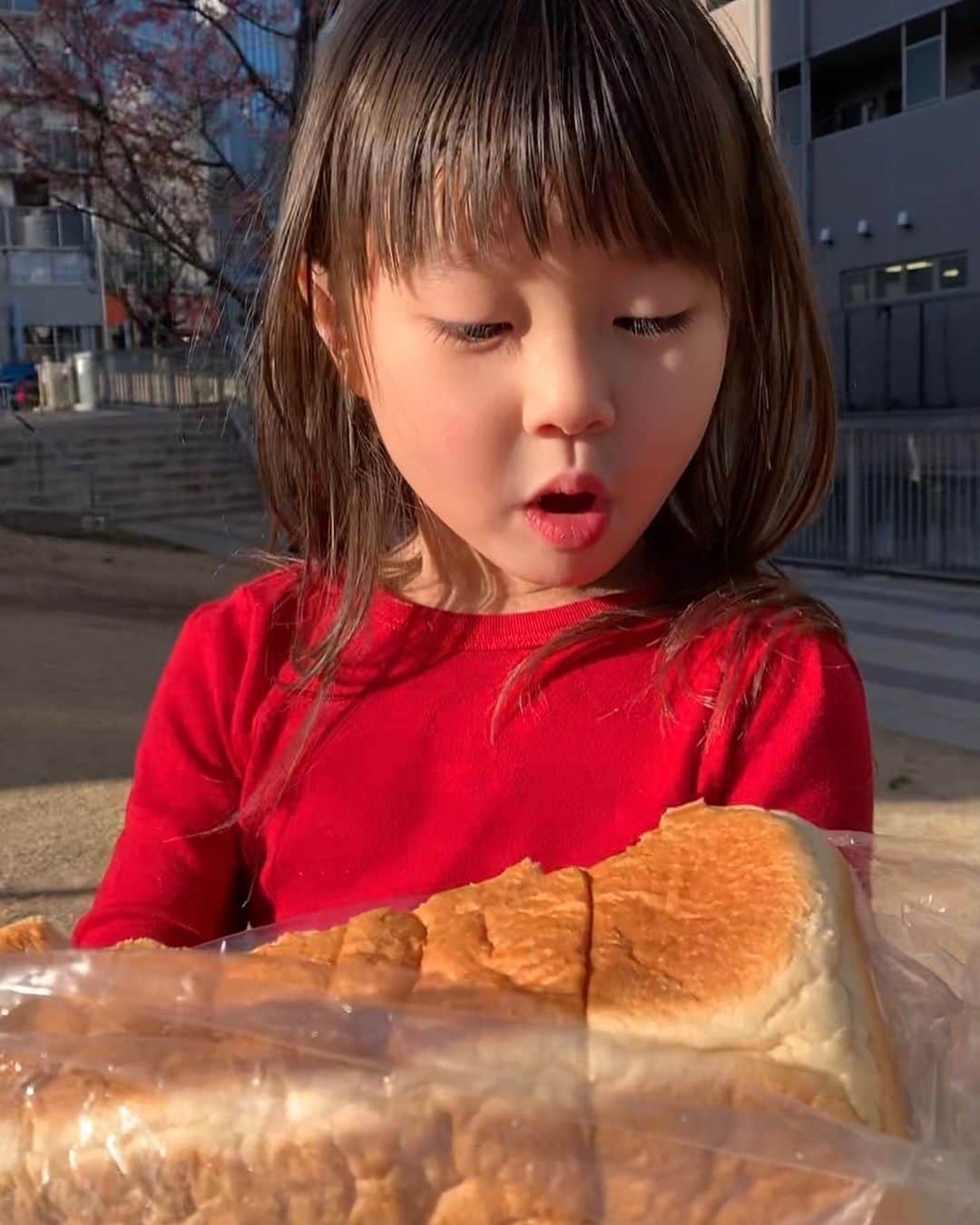 坂本美雨さんのインスタグラム写真 - (坂本美雨Instagram)「ディアフレンズのプロデューサーに、突然、おいしい食パンを一斤いただいたので、もちろん、これをやった。 #幼児と大きいパン  #今日のなまこちゃん」2月12日 21時28分 - miu_sakamoto