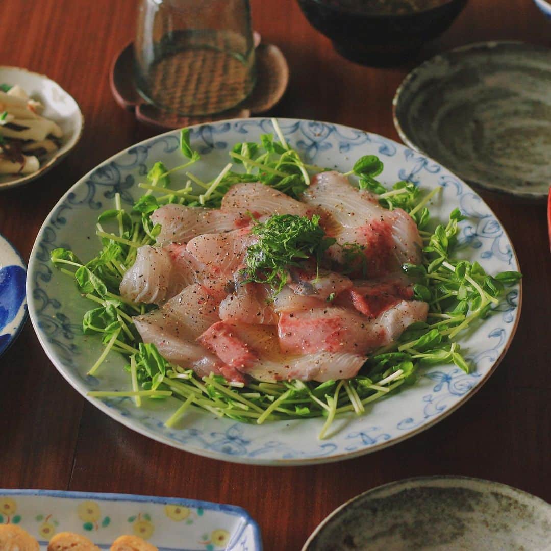 Kaori from Japanese Kitchenさんのインスタグラム写真 - (Kaori from Japanese KitchenInstagram)「海鮮三昧のにぎやかおうちごはん。 ・ こんばんは。 今日の朝昼ごはんは海鮮三昧。 ホタテの炊き込みご飯と カンパチのカルパッチョが本日のメイン。 あおさのお味噌汁は赤味噌で赤だし風に。 新鮮な食材で作ると、いつもの味つけなのに 三割増しで美味しくなりますね。 ・ 【薬膳の話】 今日はホタテの話。 ホタテは平性といって身体を温めも冷やしもしない食材。 干し貝柱は薬膳食材としてよく使われており お粥に入れると胃腸にやさしい薬膳粥のできあがり。 ホタテと白米は両方とも 胃腸の働きを調えてくれる効能が期待できますので 胃が疲れている人におすすめしたい組み合わせ◎ 今回はお粥ではなく炊き込みご飯にして 薬膳要素を取り入れてます。 ・ コロナ禍で水産物取組出荷量や 価格の落ち込みが深刻になっているらしく 食卓から日本の魚食文化を支えたい、と思い 「海の恵み食の底力JAPAN」に参加しました。 鮮度のよい美味しい魚介類が 前よりも手に入りやすくなっている今 たくさん食べて少しでも生産者さんを応援できたらと思います。 ・ ・ 【おしながき】 ホタテの炊き込みご飯 あおさのお味噌汁 ねじめ黄金カンパチのカルパッチョ 寿司屋のだし巻き卵 山芋と黒きくらげのナムル ・ ・ ・ ・ 2021.02.12 Fri Hi from Tokyo! Here’s Japanese breakfast:Seasoned rice w/ scallop, nori seaweed miso soup, greater amberjack carpaccio, Korean marinated yam and black Judas's ear, and rolled egg omelet. ・ ・ ・ #Japanesefood #breakfast #朝ごはん #おうちごはん #早餐 #薬膳 #うつわ #自炊 #家庭料理 #松浦コータロー #佐藤もも子 #STAUB #ストウブ #海の恵み食の底力JAPAN #日本の水産物を食べて応援 #pr #やちむん」2月12日 21時34分 - coco_kontasu