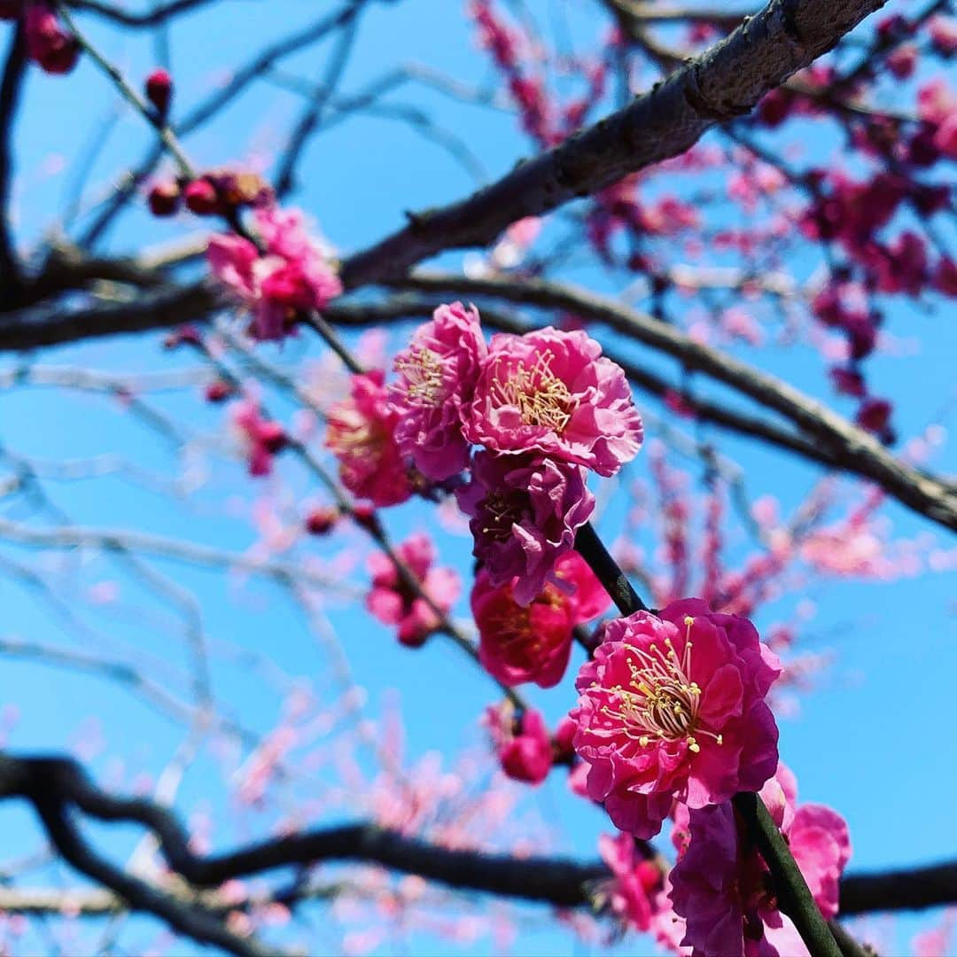 望月一花のインスタグラム