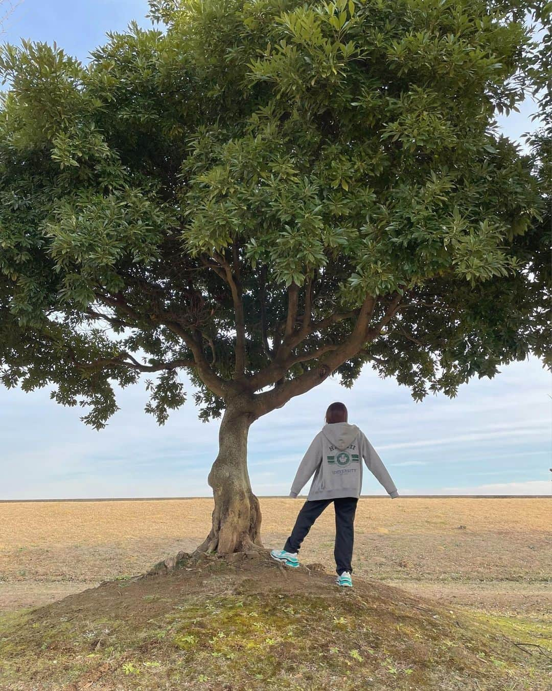 内藤るなさんのインスタグラム写真 - (内藤るなInstagram)「100エーカーの森にありそうな木 🌳」2月12日 22時03分 - lunaoon67