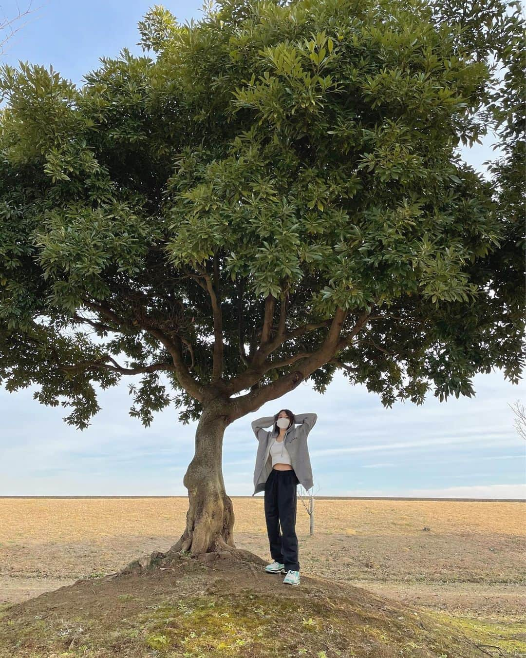 内藤るなさんのインスタグラム写真 - (内藤るなInstagram)「100エーカーの森にありそうな木 🌳」2月12日 22時03分 - lunaoon67