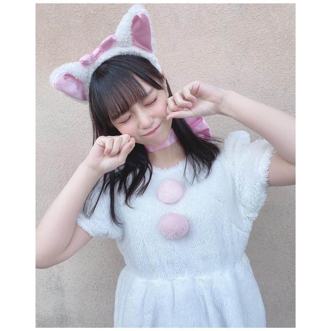 岩田陽菜さんのインスタグラム写真 - (岩田陽菜Instagram)「お話会で白猫にもなりましたにゃ。🍼﻿ ﻿ 🤍🥛甘え上手そうだにゃ🥛🤍﻿ ﻿ #猫#cat#白猫#コスプレ﻿ ﻿」2月12日 22時04分 - hina_naso_stu48