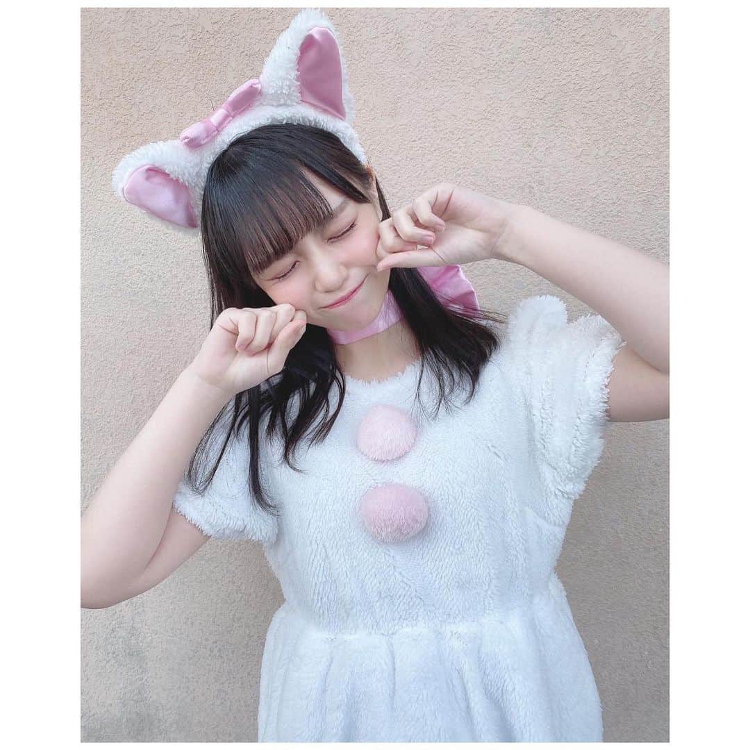 のインスタグラム：「お話会で白猫にもなりましたにゃ。🍼﻿ ﻿ 🤍🥛甘え上手そうだにゃ🥛🤍﻿ ﻿ #猫#cat#白猫#コスプレ﻿ ﻿」