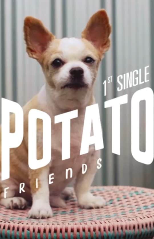 バイトゥーイ・ズワピットのインスタグラム：「“ 18 กุมภาพันธ์นี้ ”  #potatofriends #potatoband #genierecords」