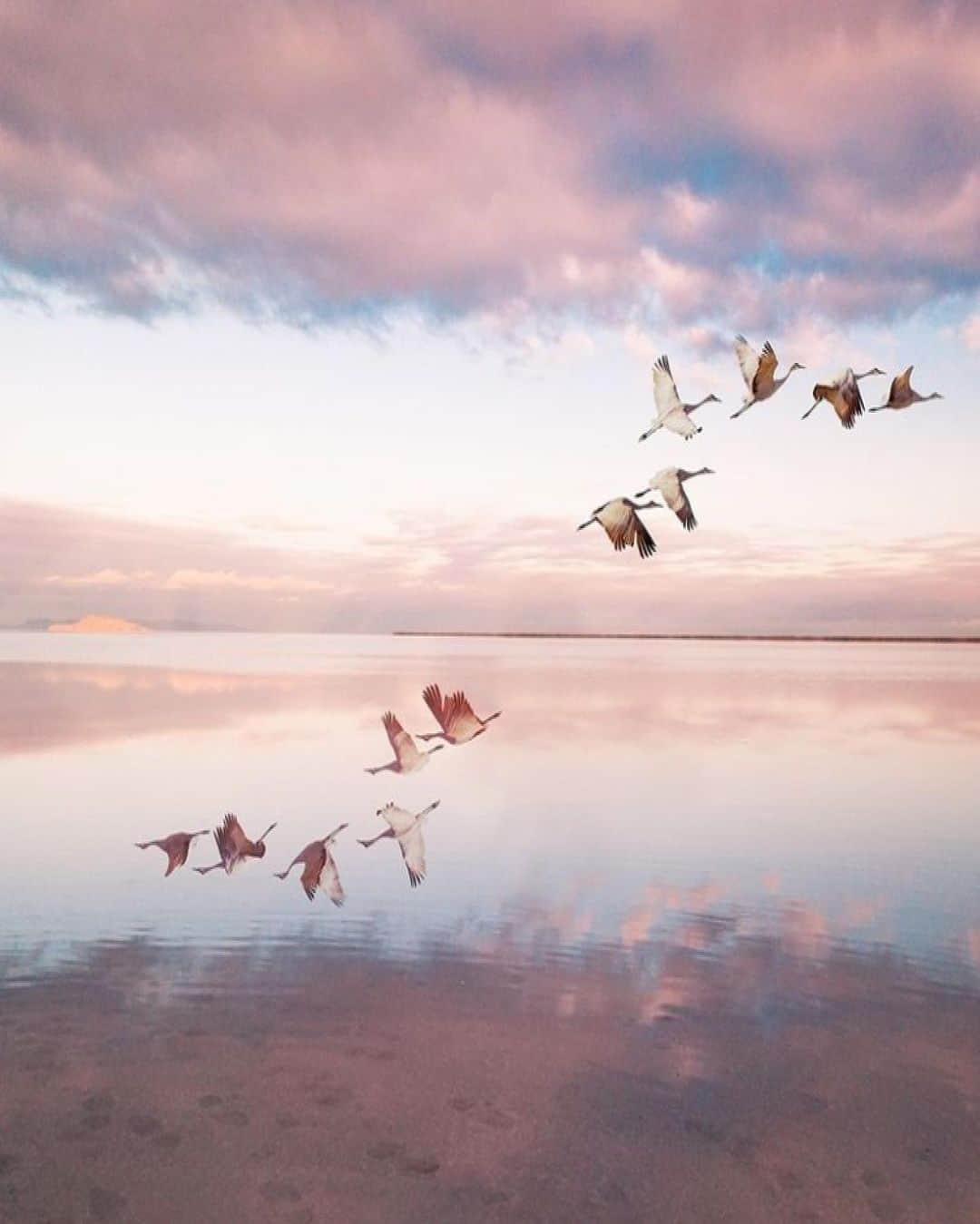 メドモアゼルのインスタグラム：「Inspiration 🕊  mesdemoisellesparis.com #mesdemoisellesparis #springsummer21」
