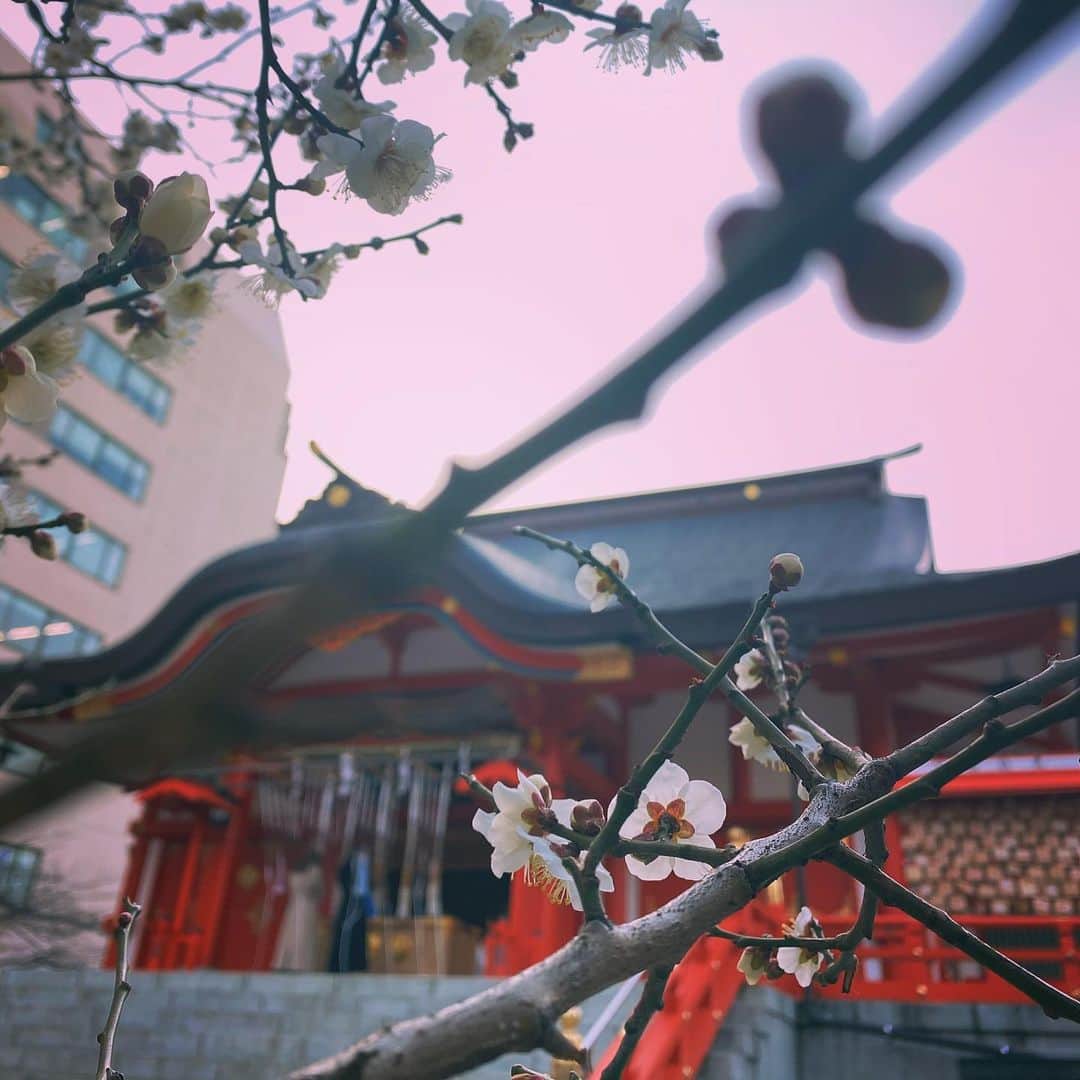 南琴里のインスタグラム：「新宿のかたいそら💭 . . . . #花園神社 #新宿 #新宿区 #shinjuku #japan #hanazonoshrine #japan_of_insta」