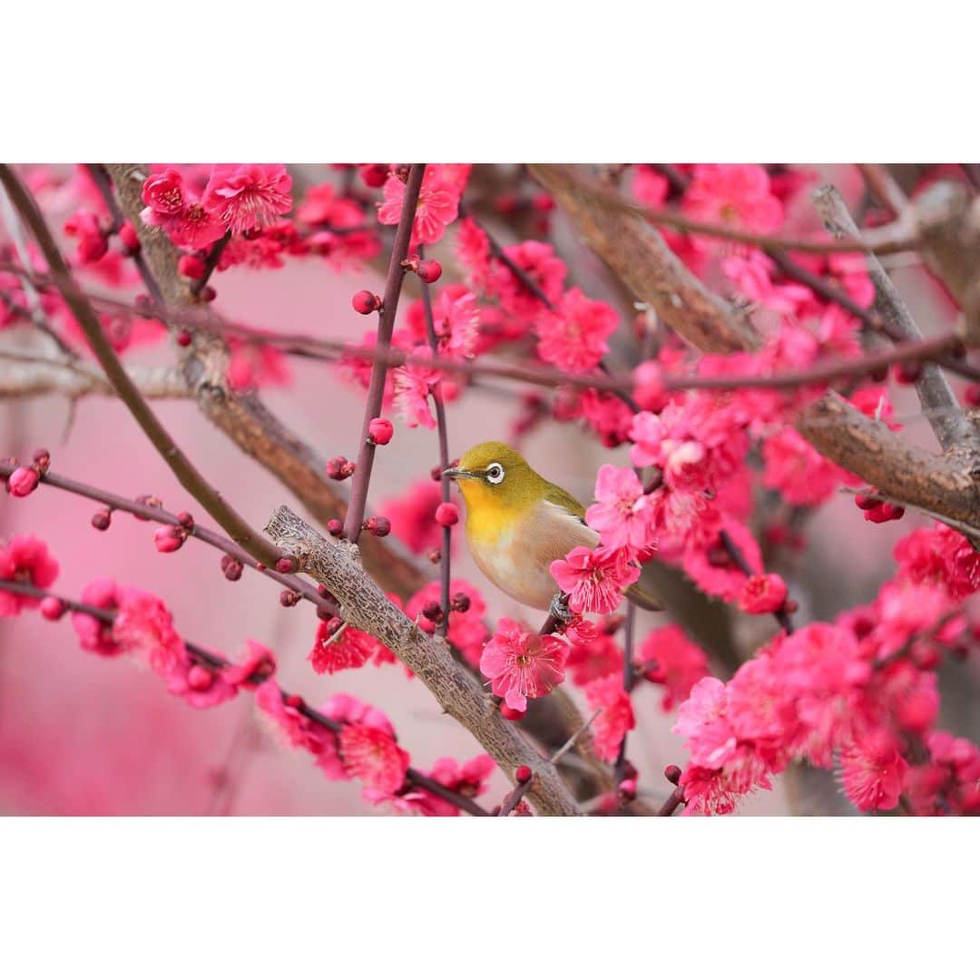 岩原大起のインスタグラム