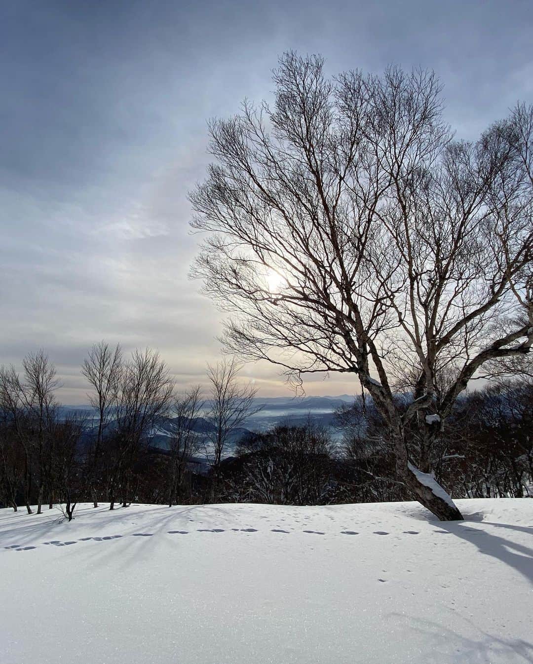 奥家沙枝子さんのインスタグラム写真 - (奥家沙枝子Instagram)「最高のお天気🏔❄️🌞 夜はお風呂とせんべろ♨️🍶  #japan #snow #snowboard  #snowboarding #snowsurf #winter  #sport #fit #mountain #outdoor #nature #beautiful #goodday #winterwonderland #trip #ski #travel #japow #powder #powday #GoPro #mountainharbor #スノボ #スノーボード #雪 #パウダー #山 #長野#野沢温泉」2月12日 22時57分 - saekookuya