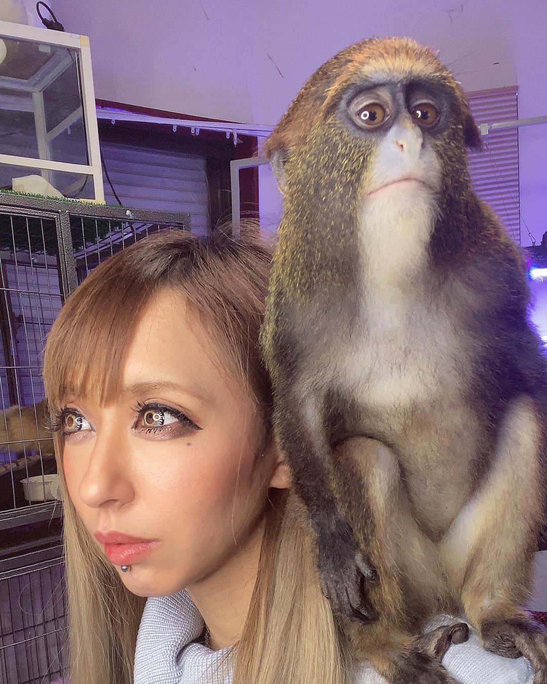 あきるなのインスタグラム：「ラウルとツーショット嫌がられて そっぽ向いてしか撮れない件🐵w . . . #ブラッザグエノン #サル #エキゾチックアニマル #ギャル #キャバ嬢 #ペットのいる生活 #多頭飼い #珍獣 #特定動物 #メイク #ペット #ふわもこ部 #セルフィー #自撮り #petstagram #animalsofinstagram #animalstagram #monkey #selfie #me #followｍe #cute #animal #instagood #makeup #tiktok #youtube #youtuber」