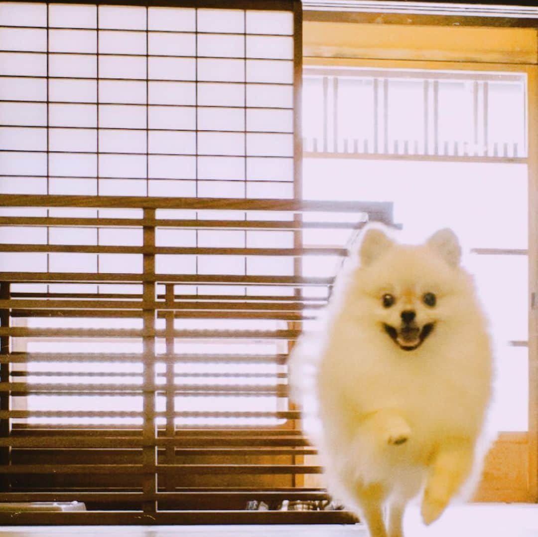 竹田城 城下町 ホテルEN（えん）のグルメインスタ