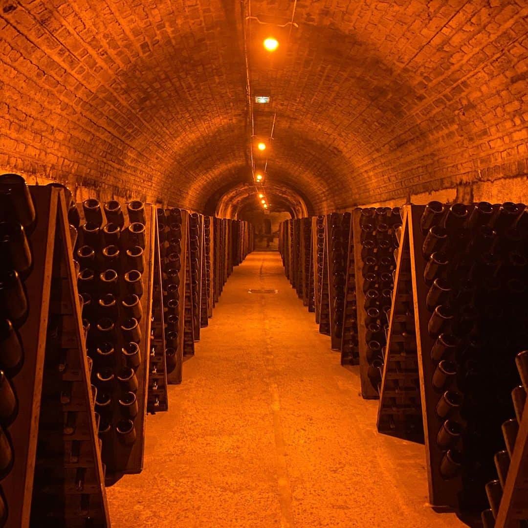YOONのインスタグラム：「Remembering #Epernay 🍇🥂🍾」