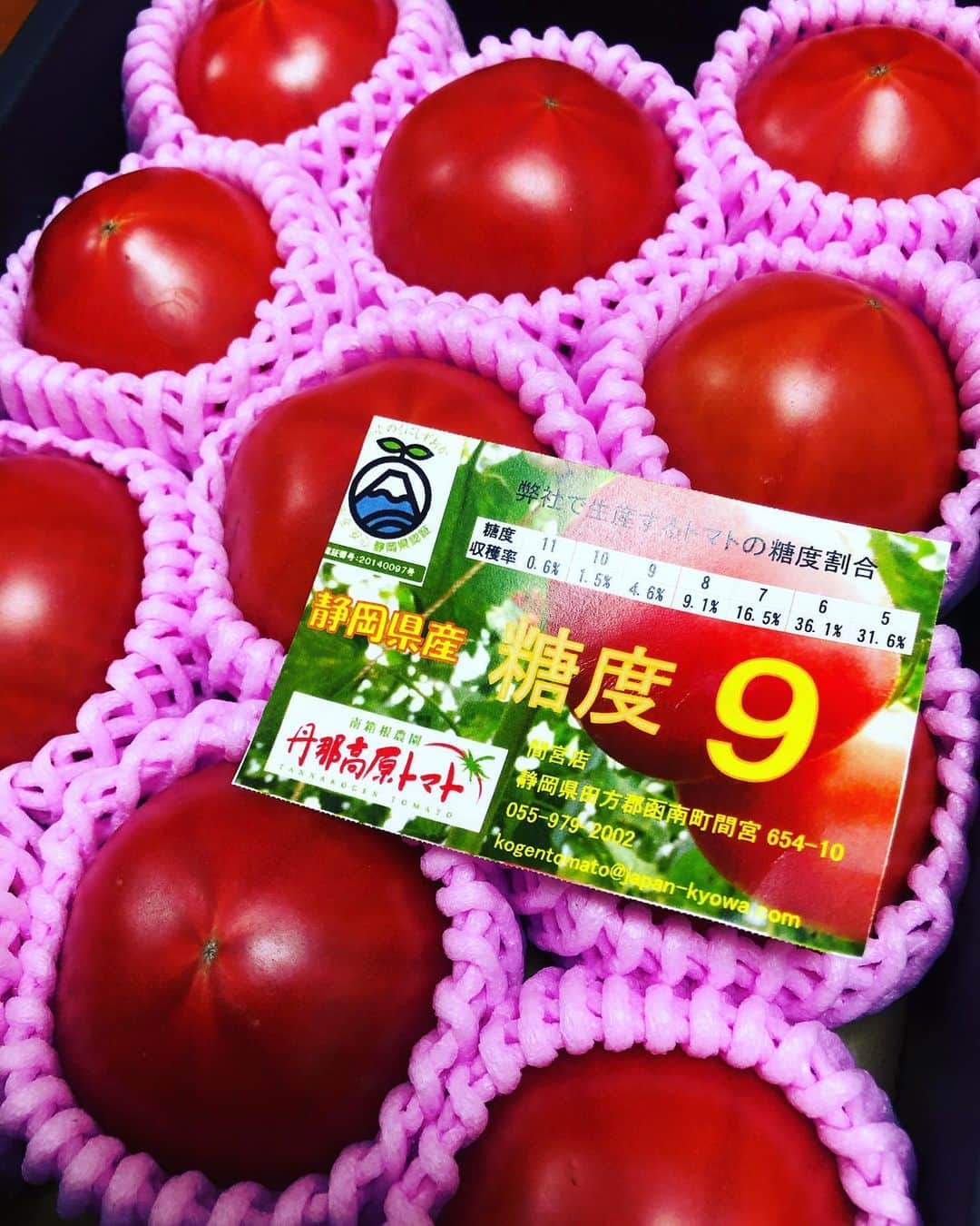 のインスタグラム：「美味しい美味しいトマトの季節になりました🍅✨  まだかまだかと待ちわびていました！！嬉しいー💕 まるでフルーツみたいなトマトなんです🥰  このトマトに出会ってしまったので、他のトマト🍅が物足りなくなってしまい困ってます。笑 今年も大量に購入しそうだわ😂  リコピンを沢山取り入れます✌️  #フルティカ #丹那高原トマト」