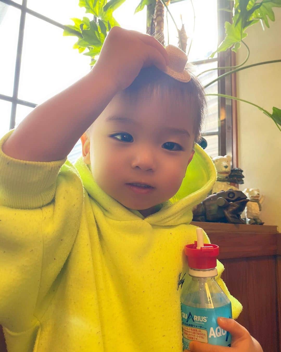 Momoeのインスタグラム：「鳥のおもちゃがかぶってた帽子ꉂ꒰笑꒱  . .  #happy #家事 #育児 #family #家族 #boy #smile #男の子 #息子 #code #love #lucky #kids #子供 #thankyou #宝物 #ベビー #fashion #follow #パパ #ママ #家族写真 #男の子ママ #1歳 #うさぎ #ネザーランドドワーフ」