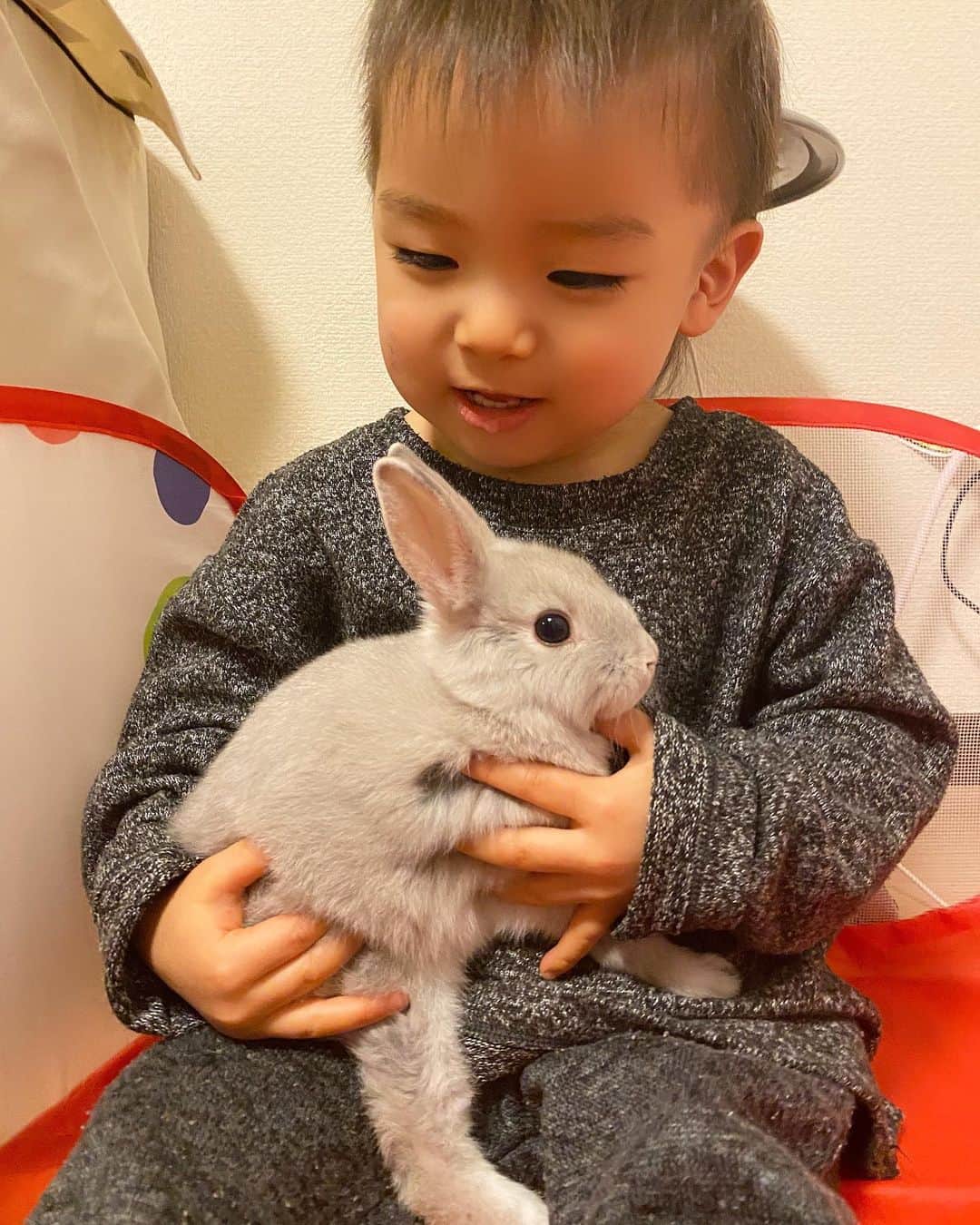Momoeのインスタグラム：「足！笑  . .  #happy #家事 #育児 #family #家族 #boy #smile #男の子 #息子 #code #love #lucky #kids #子供 #thankyou #宝物 #ベビー #fashion #follow #パパ #ママ #家族写真 #男の子ママ #1歳 #うさぎ #ネザーランドドワーフ」