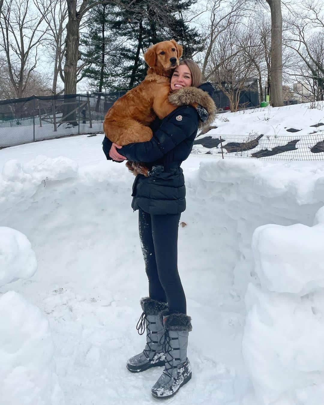 サマンサ・グラドヴィルのインスタグラム：「The cutest little snow bunny 🐶💕 #dogmomlife #goldenretrieverpuppy #myheart」