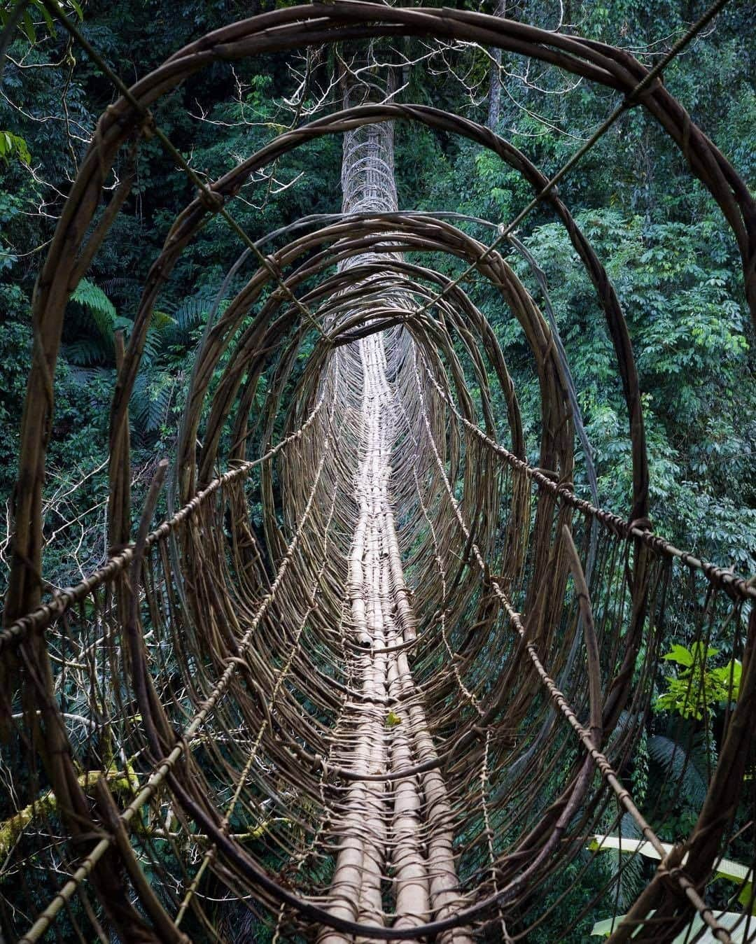 Discover Earthさんのインスタグラム写真 - (Discover EarthInstagram)「Would you dare cross this bridge?  📍 Hanging bridge in Boleng, Arunachal Pradesh, India.  🇮🇳 #discoverindia with @kall_bado  . . .  #india  #mumbai  #delhi  #indian  #incredibleindia  #indiapictures  #_soi  #bollywood  #storiesofindia  #indiaclicks  #pune  #india_gram  #delhigram  #rajasthan  #indiagram  #indianphotography  #photographers_of_india  #jaipur  #punjab  #newdelhi  #lonelyplanetindia  #maharashtra  #goa  #streetphotographyindia  #everydayindia  #mypixeldiary  #desi_diaries  #ig_india  #igramming_india」2月13日 1時00分 - discoverearth