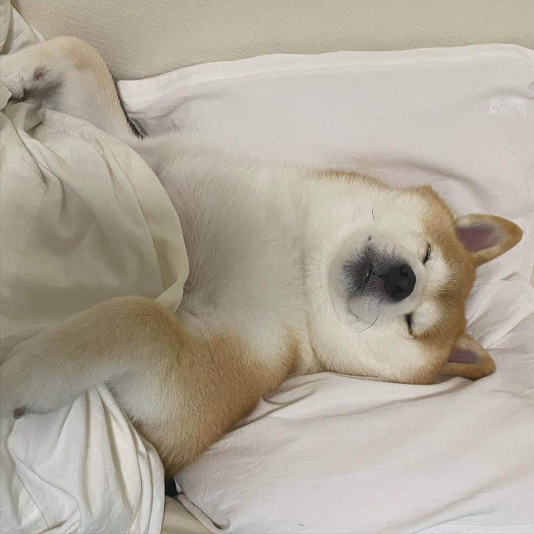 いなりのインスタグラム