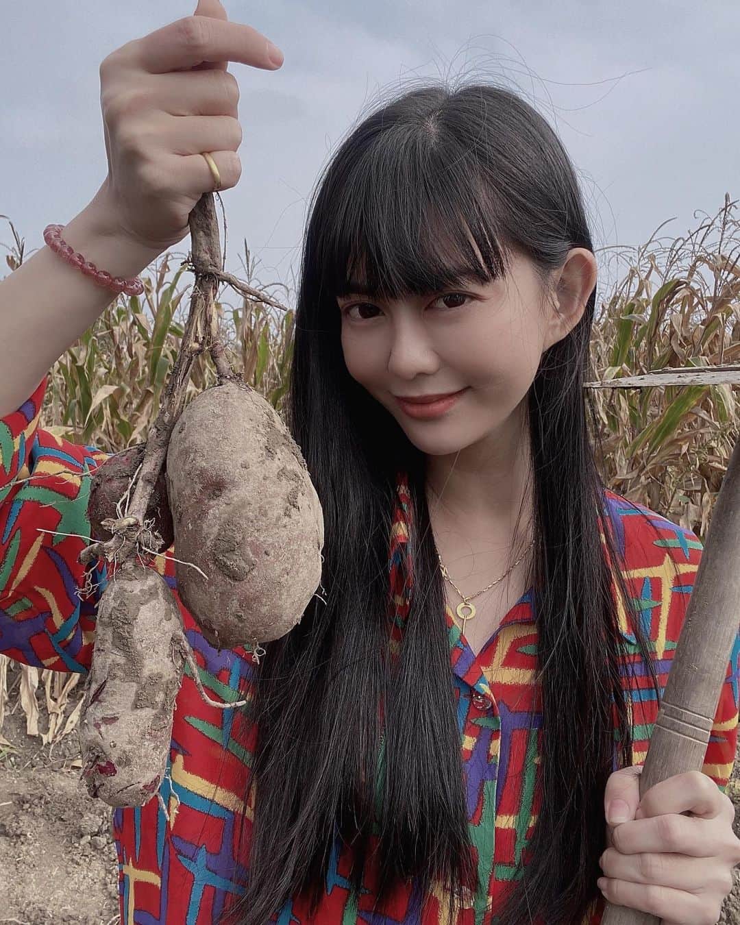 白癡公主のインスタグラム：「阿嬤家前農田的蕃薯美少女…🍠挖了好多又深又長的地瓜🥴」