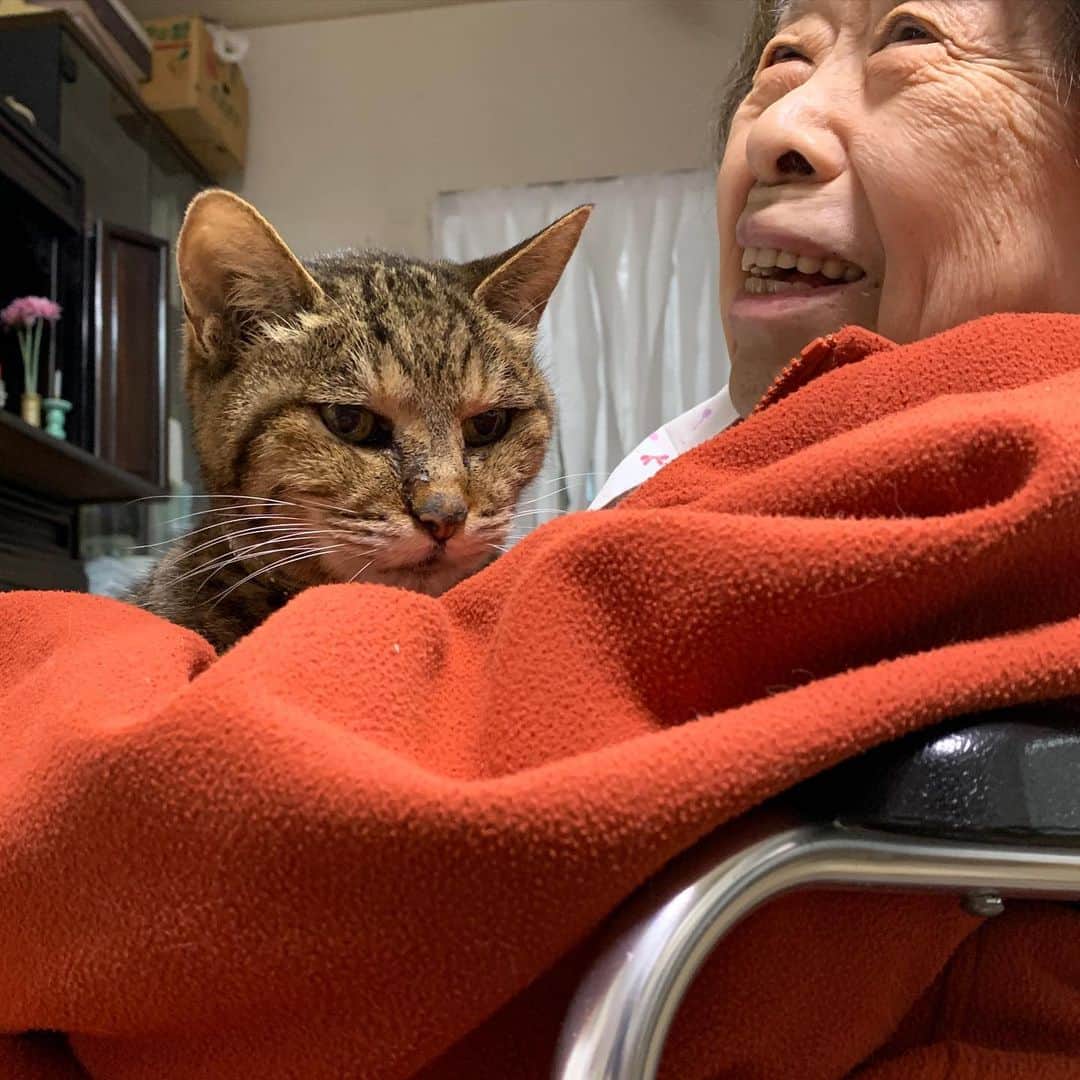 Kachimo Yoshimatsuさんのインスタグラム写真 - (Kachimo YoshimatsuInstagram)「バーバとココちゃん。 珍しくバーバの膝の上にいた。 #うちの猫ら #猫 #ねこ #cocoa #バーバ #バーバと猫 #cat #ネコ #catstagram #ネコ部 http://kachimo.exblog.jp」2月13日 1時54分 - kachimo