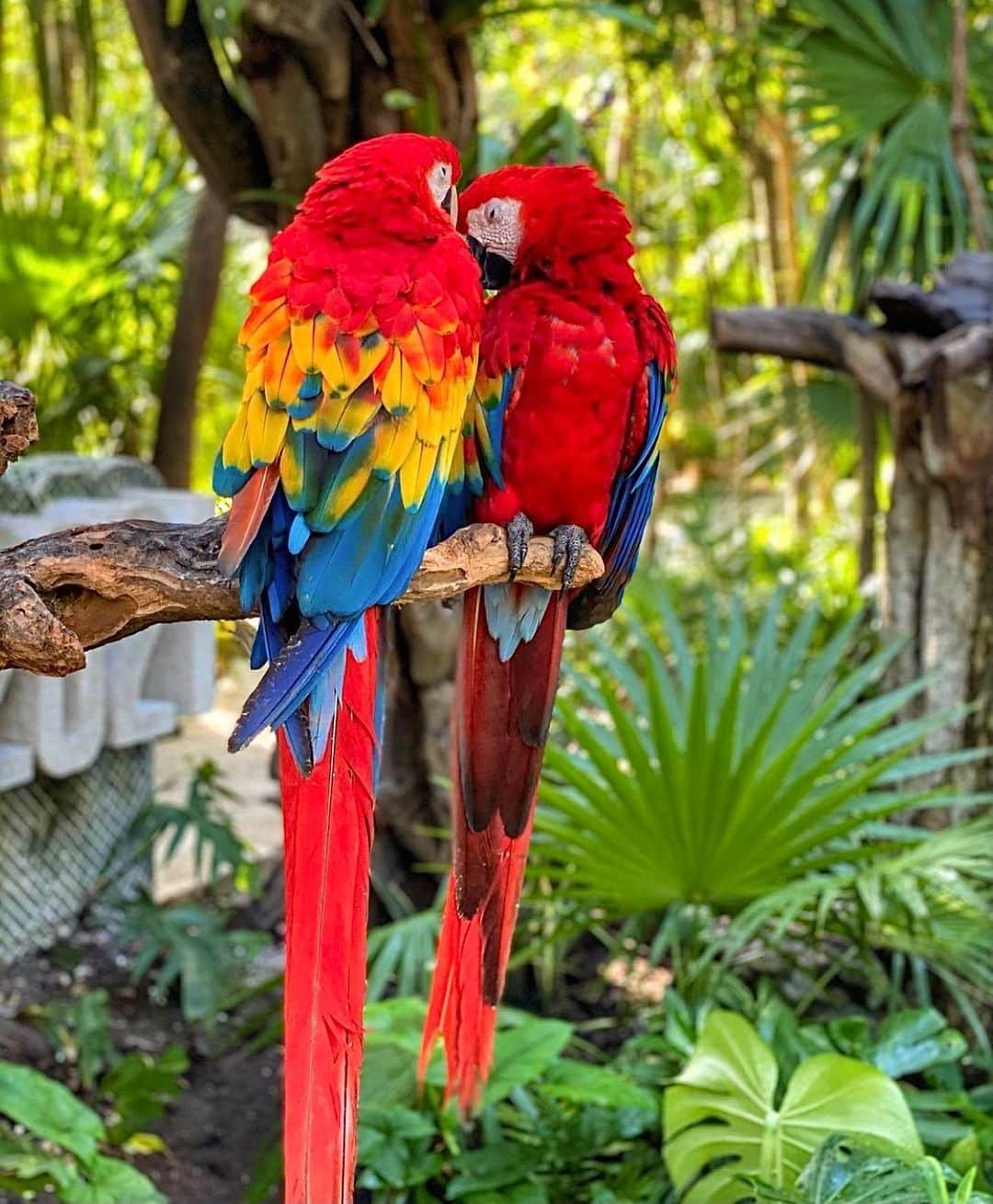 Erika Auroraのインスタグラム：「❤️ 🌎Think about what a great planetary revolution there would be if millions of kids from all over the world with their backpacks on their backs started going around nature 🌿#naturephotography #worldtraveler #mexico🇲🇽」