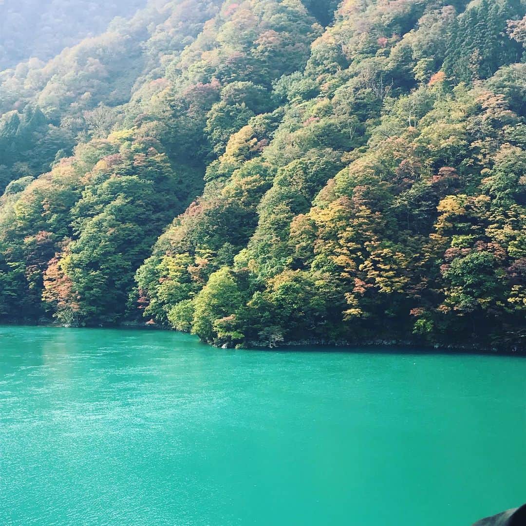 ミラのインスタグラム