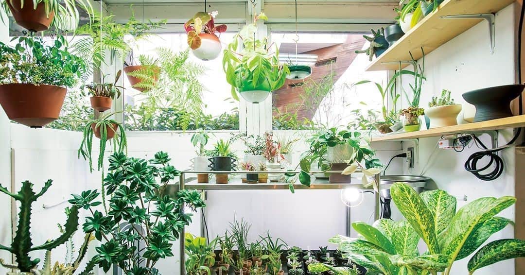 のインスタグラム：「【グリーンな部屋を作る。】⠀ 昨夏、東京に出店した鹿児島の人気店、アラヘアミー。植物を綺麗に見せるためには「スタンドや台で高さを変えるなど、空間のリズムや余白を使ってほしい」と言う。デザインと機能性を兼ね揃えたグッズや、こだわりの作家ものの鉢を取り揃えている。⠀ ⠀ photo : @yukogillc⠀⠀ ⠀⠀ #figarojapon #フィガロジャポン #フィガロ3月号 #世界を幸せにする50のこと #fashion #ファッション #plants #植物 #araheamy #アラヘアミー #千駄ヶ谷 #多肉植物」