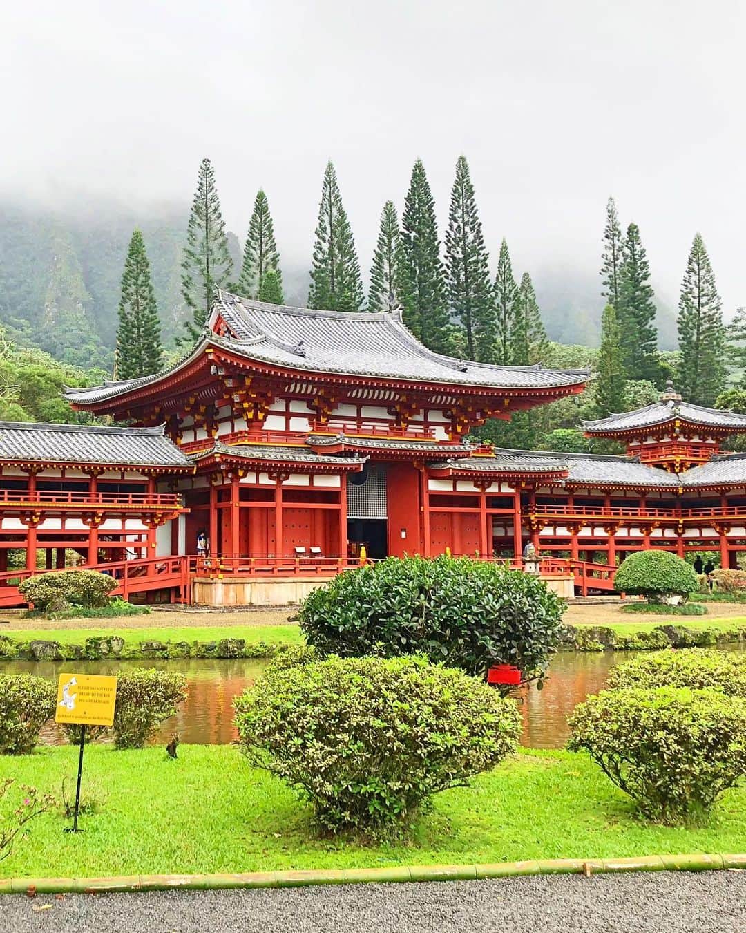 shihoさんのインスタグラム写真 - (shihoInstagram)「💚♥️🌴♥️💚 ・ 📍Valley of the Temples Memorial Park   The Byodo-In Temple ・ ズラーっと並んだヤシの木は 可愛くてインパクトたっぷりで たくさん写真を撮りたくなっちゃうよね♡ ・ このヤシの木の先にあるのが 1968年に建立された平等院。 ここは日本？！って思ってしまう雰囲気。 うしろにはコオラウ山脈があり Hawaiiと日本の素敵な景色が広がってるの♡ 2枚目の写真は曇っていて コオラウ山脈がほとんど見えないけど。笑 曇りも独特な雰囲気が出ていて素敵だよね☺️ ・ #hawaii#islandofoahu#oahu#ハワイ#trip #オアフ島#travel#loco_hawaii#travel_jp #funtorip#タビジョ#旅MUSE#genic_travel #genic_mag#たびねす#旅行#genic_hawaii #valleyofthetemples#thebyodointemple #temple#templehawaii#park#oahuhawaii #tabijyomap_hawaii#lealeahawaii#2021」2月13日 12時01分 - shiho.ga8