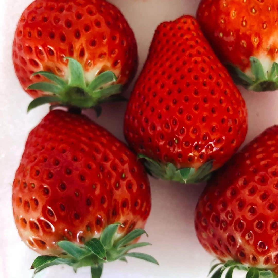 金澤ダイスケのインスタグラム：「実家から赤い果実が届いた🍓 #赤い果実」