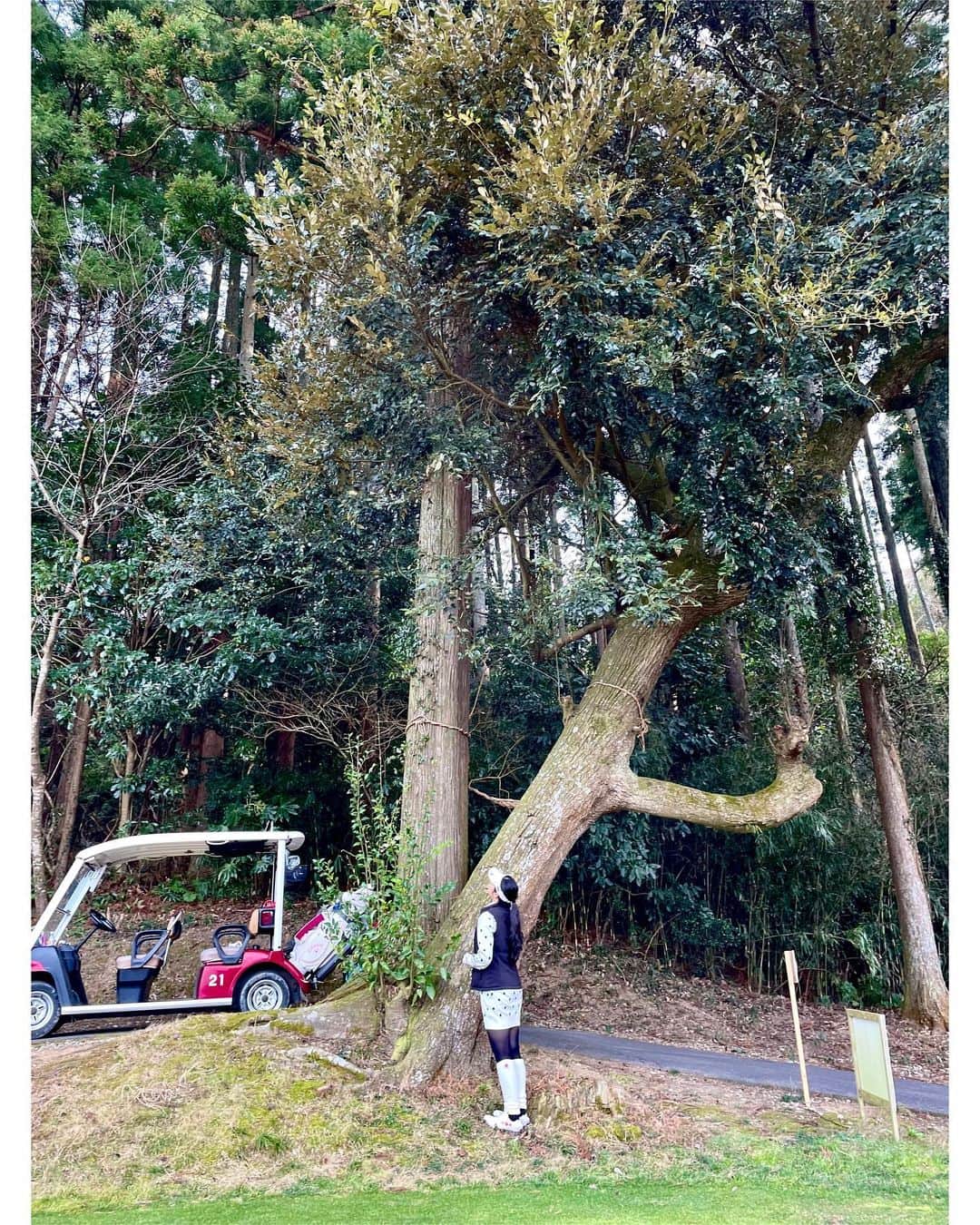 神戸麻衣のインスタグラム