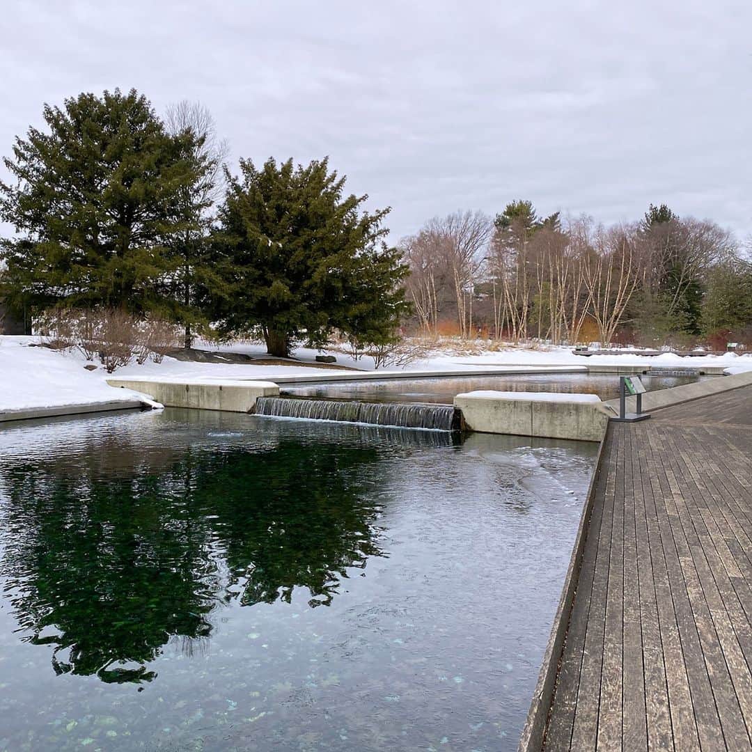 ニューヨーク植物園のインスタグラム：「With the snow sparkling, this weekend is the perfect opportunity to make your way to the Native Plant Garden for your final opportunity to experience "For Love and Only for Love: Letters to New York," ending this Valentine's Day, February 14. . Explore the winter highlights of this garden with the accompaniment of up to 72 recorded voices during Pete Wyer's masterful composition, part of @makemusicny's annual winter solstice festival. Hit the link in our bio to learn more about the project, the composer, and the five choral "letters" that make up the experience during its final weekend. . #MakeMusicNewYork #plantlove #AllInNYC」