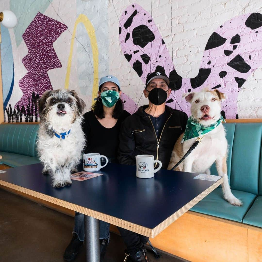 The Dogistさんのインスタグラム写真 - (The DogistInstagram)「Boris & Horton, Pit Bull Terrier mix & Terrier mix, @borisandhorton , NYC • “It all started because we wanted to stop and get a coffee without having to leave our dogs outside – we wanted all four of us to be able to enjoy the experience. So in 2018, we opened Boris & Horton, a dog friendly coffee shop. It’s our third anniversary. We worked with the department of health to have two different sides – a cafe side and a dog side. It’s become a whole community – people come with dogs or just by themselves to meet new friends. People with dogs are just nicer – dogs are such a catalyst for conversation. We do trivia nights, bingo nights, and tons of adoption events. We’ve helped 409 dogs get rescued so far (we have an ongoing tally). The pandemic hit, but folks still wanted to be part of the community. We’re closed inside, but our to-go window is open and we’re able to open on Valentine’s Day at 25% capacity. We like to think we’re the happiest place in New York, if not the world. Being here makes you smile.” • If you’re a dog oriented small business owner in NYC and would like to be featured, email info@thedogist. #AllInNYC #NYCstrong」2月13日 6時07分 - thedogist