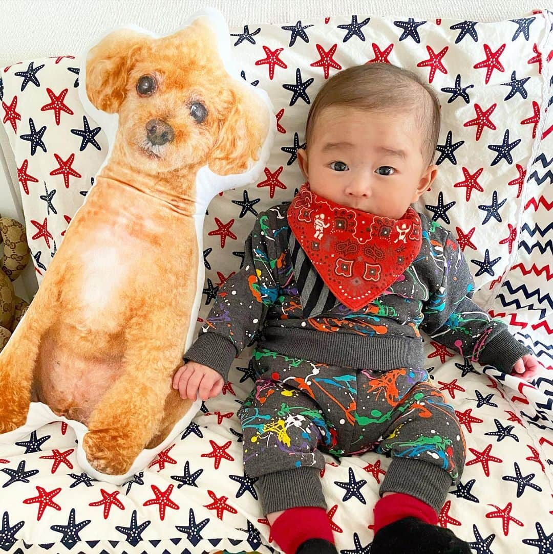 DJ JUICYのインスタグラム：「愛しい2ショット❣️ この3Dクッション作ってホントに良かった🥰🥰❤️❤️  JUICYくんがいつも息子の事を守ってくれてる感じがする...🥺🥺✨  愛犬ロスの方には、絶対絶対オススメです❣️  一緒に写真撮ってると、息子の背が段々大きくなってるのも分かる⤴️☺️👏✨  リンク貼っておきます🙋🏻‍♀️ https://mademine.jp/  #天使 #愛犬 #息子 #生後4ヶ月 #赤ちゃんのいる生活#3d#クッション #baby#babyfashionista#dog#doglover」