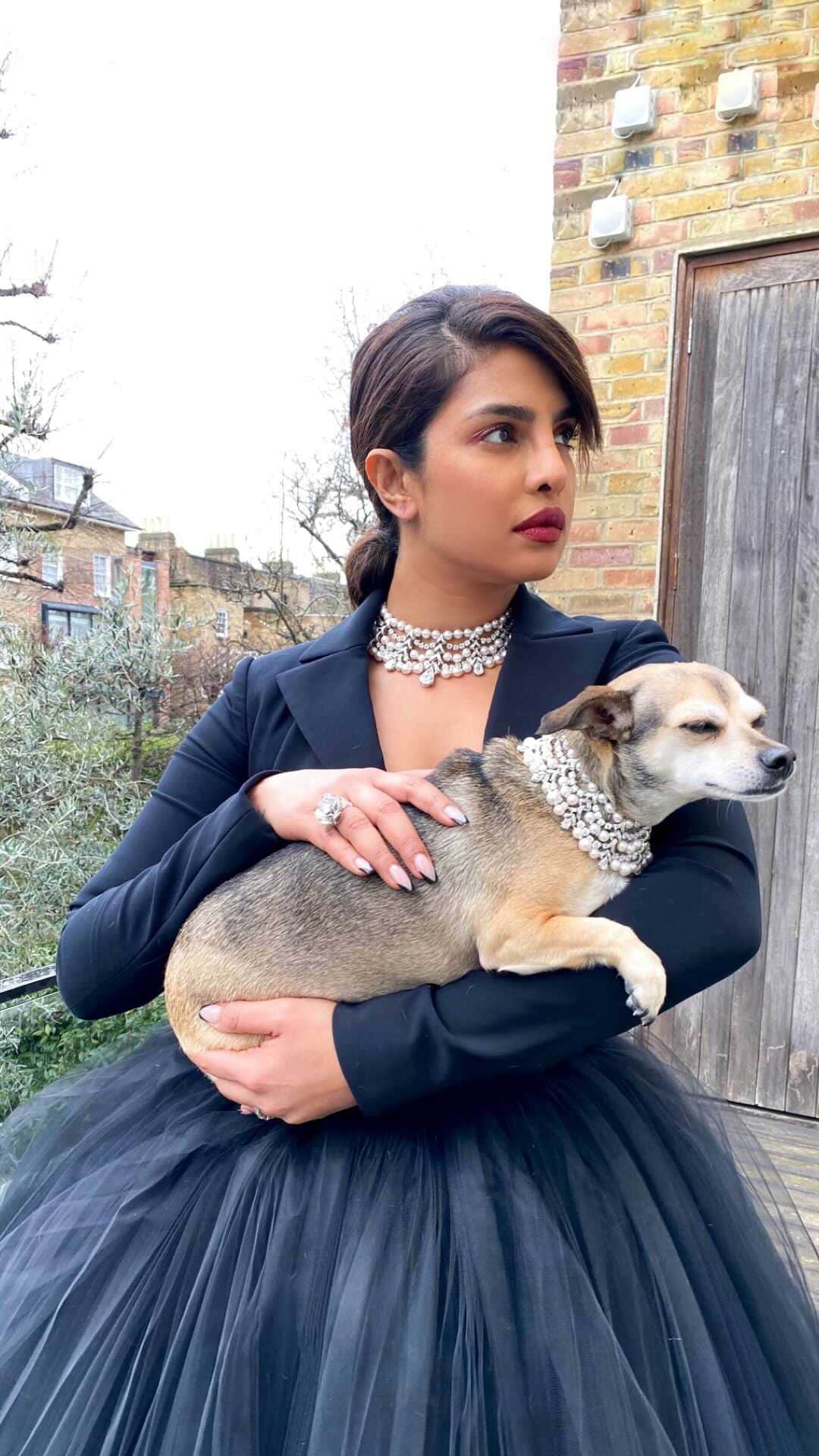 プリヤンカー・チョープラーのインスタグラム：「All hands (and paws) on deck for my virtual press tour. Special thanks to @luxurylaw for taking my Zoom events to another level 😂 and @tikatheiggy for keeping @diariesofdiana humble!  Voice by @lorenapages   Outfit 1: Dress @stjohnknits Shoes @jenniferchamandi Earrings @jenniferfisherjewelry  Outfit 2: Dress @csiriano Necklace @bulgari Shoes @jenniferchamandi Dog Collar @bulgari  Outfit 3: Jacket & Skirt @isabelmarant Shoes @jenniferchamandi Ring @bulgari Earrings @bulgari  Outfit 4: Dress @halpernstudio Shoes @jenniferchamandi Earrings @bulgari」