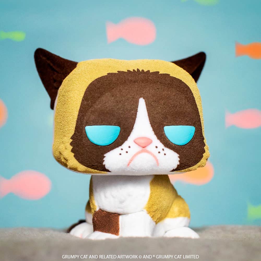 Grumpy Catのインスタグラム：「OUT NOW: The Grumpy Cat @OriginalFunko Pop! Find them wherever #Funko is sold! Direct links on the @realgrumpycat Twitter! #funkopop #funkocollector #funkofamily #funkopops #funkoaddict #funkopopvinyl #funkofunatic #funkomania」