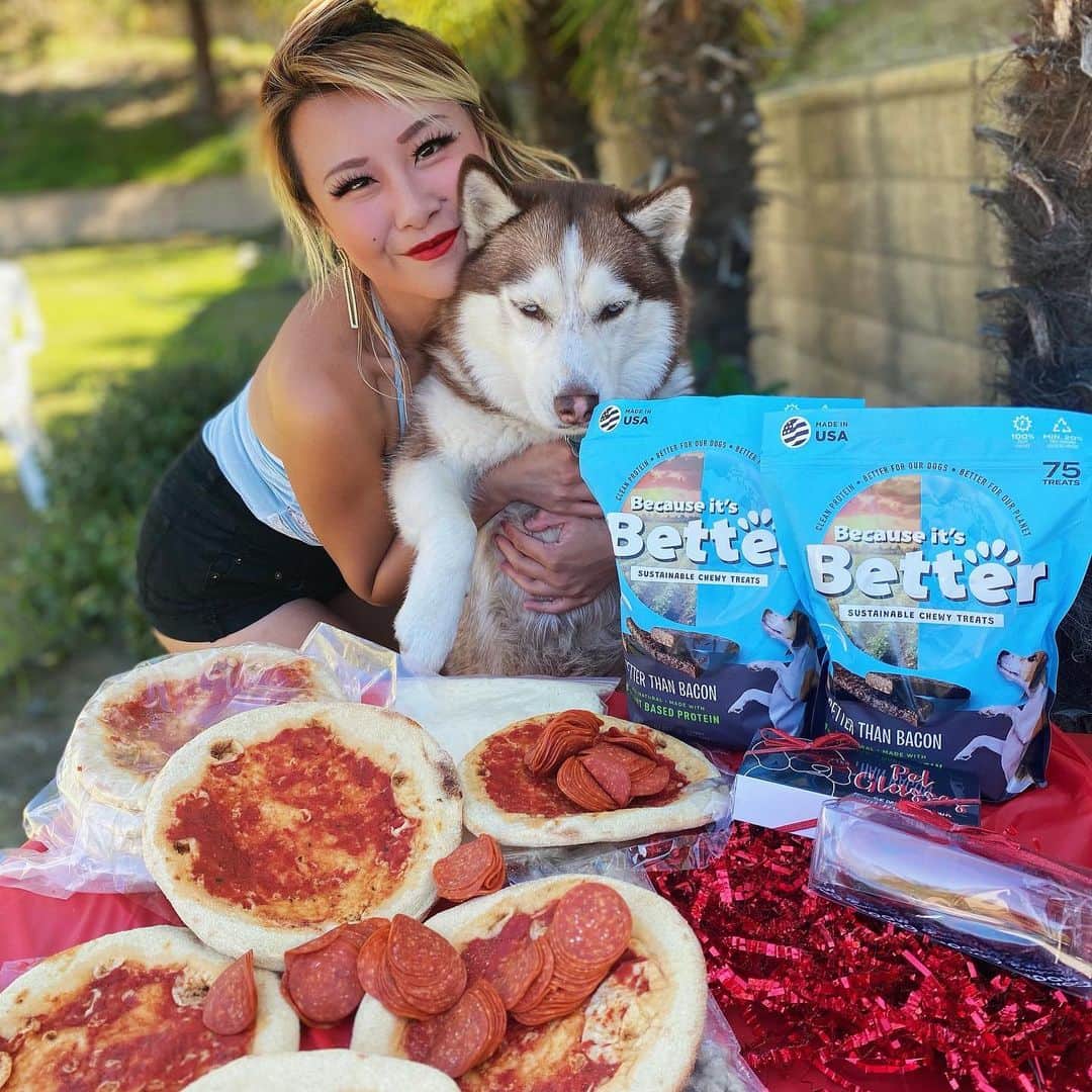 ライナ・ホワンさんのインスタグラム写真 - (ライナ・ホワンInstagram)「@huskyprincessnala was such a fan of these new dog 🐶 treats I got from @betterfordogs ✨😍 . . She went crazy over them as I was making myself some pizzas 🍕 with @flipperspizzeria make your own pizza kits Heehee . . @betterfordogs is stocked up at the nearby @costco if y’all wanna try it out for your fur baby heehee 💕」2月13日 8時21分 - rainaiscrazy