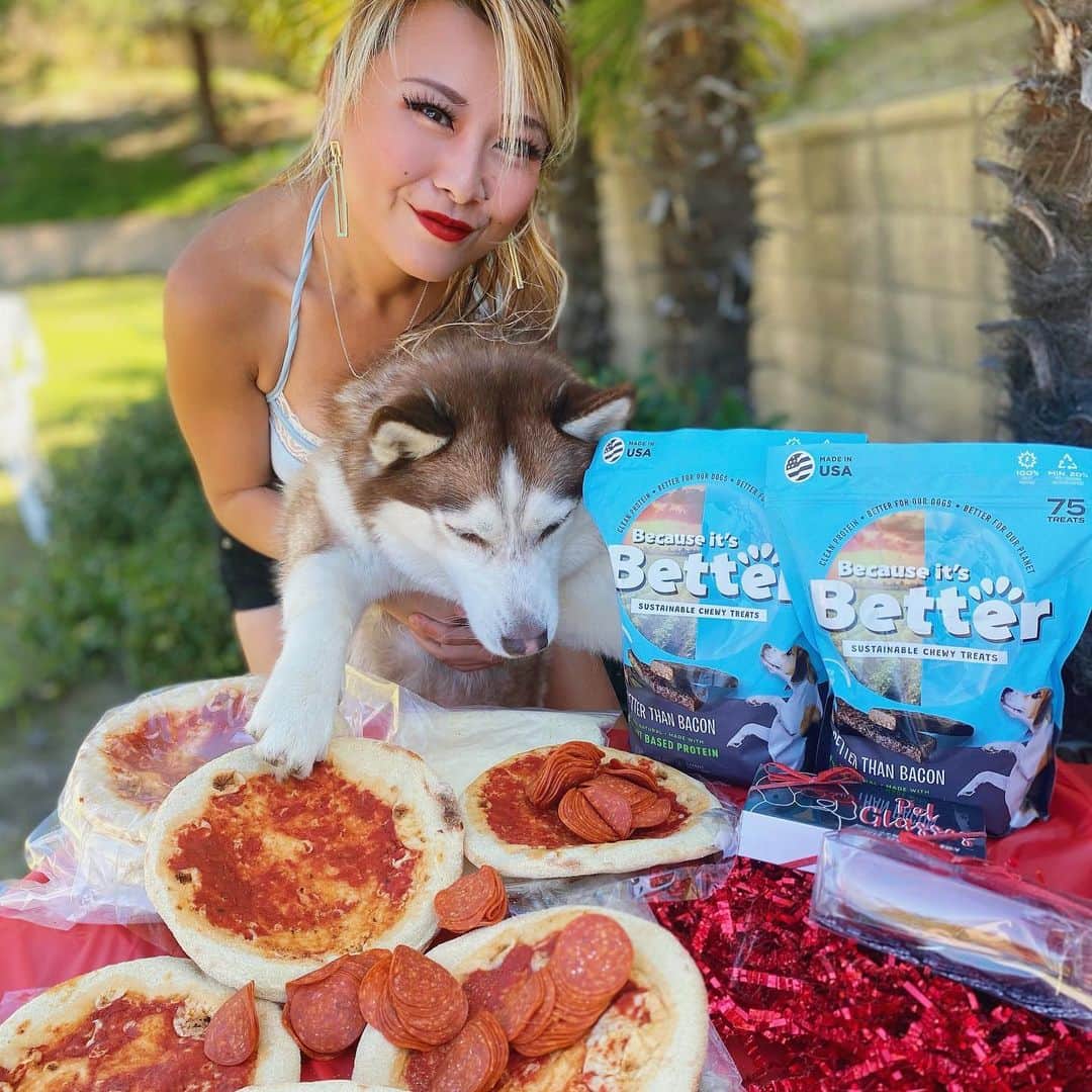 ライナ・ホワンさんのインスタグラム写真 - (ライナ・ホワンInstagram)「@huskyprincessnala was such a fan of these new dog 🐶 treats I got from @betterfordogs ✨😍 . . She went crazy over them as I was making myself some pizzas 🍕 with @flipperspizzeria make your own pizza kits Heehee . . @betterfordogs is stocked up at the nearby @costco if y’all wanna try it out for your fur baby heehee 💕」2月13日 8時21分 - rainaiscrazy