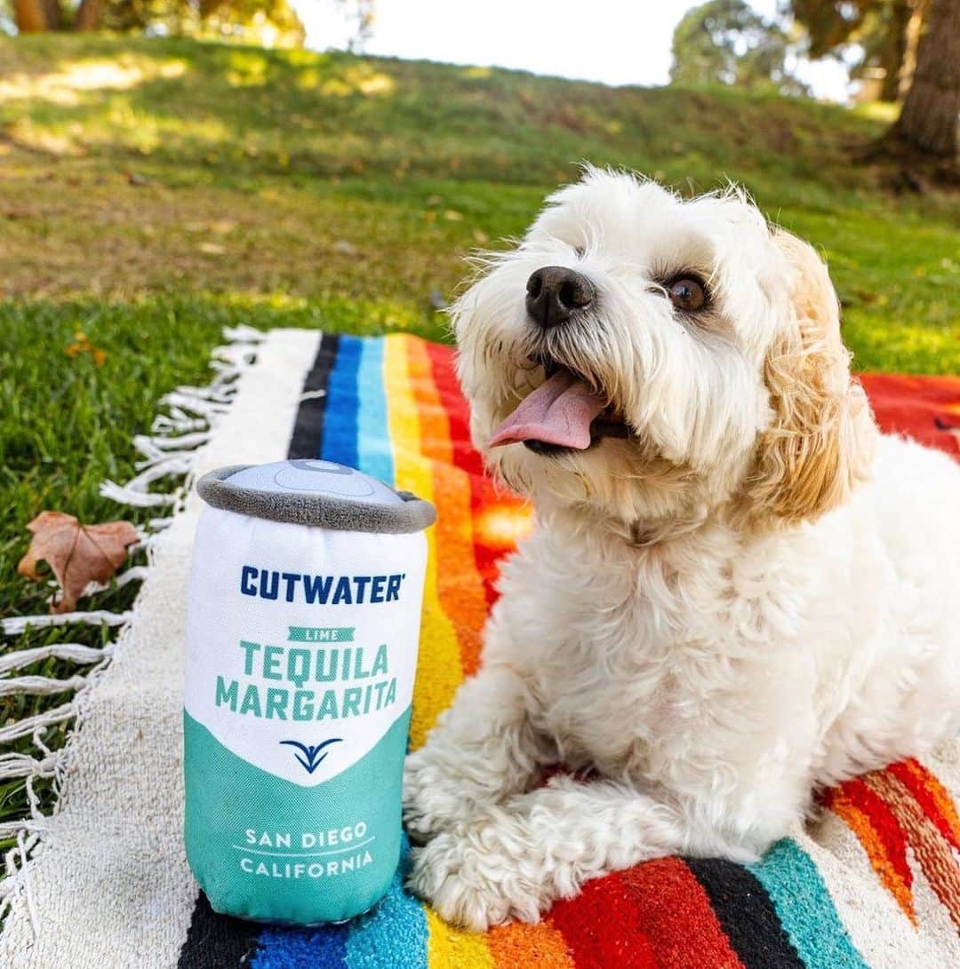 DogsOf Instagramのインスタグラム：「It's Yappy Hour o'clock 🎉 In celebration of next week’s #NationalLoveYourPetDay, we've got an extra special surprise for you! 🍻🐶  🌟YAPPY HOUR PHOTO CONTEST🌟  We want to see how you and your dog kick back and relax. Show us your best #YappyHour dog photos/videos for a chance to win a Best Friends Prize Pack from @cutwaterspirits! We’ll feature the top ten submissions on our page next week 🤗  Oh and did we mention everyone who submits will receive an exclusive gift from us? What are you waiting for, link in bio to submit!  *Contest open to U.S. residents only. This giveaway is not affiliated with Instagram. Must be 21+ to enter.  By entering, entrants confirm and agree to Instagram's terms of service*  #dogsofinstagram #yappyhour #cutwaterspirits #happyhour #photocontest #giveawaycontest」