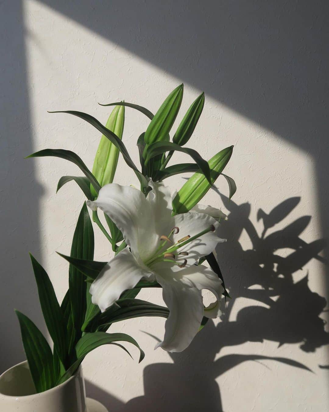 森摩耶さんのインスタグラム写真 - (森摩耶Instagram)「Saturday morning 百合の花が咲いて部屋中が良い香り🦢」2月13日 9時23分 - maya_mori